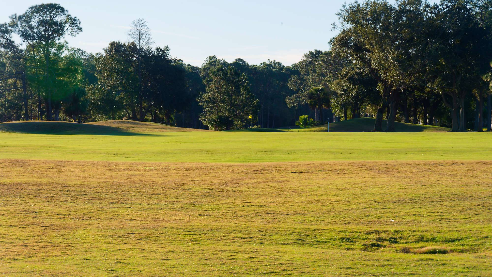 Cypress Head Bahn 10-18 MZ6 _7919_DxO