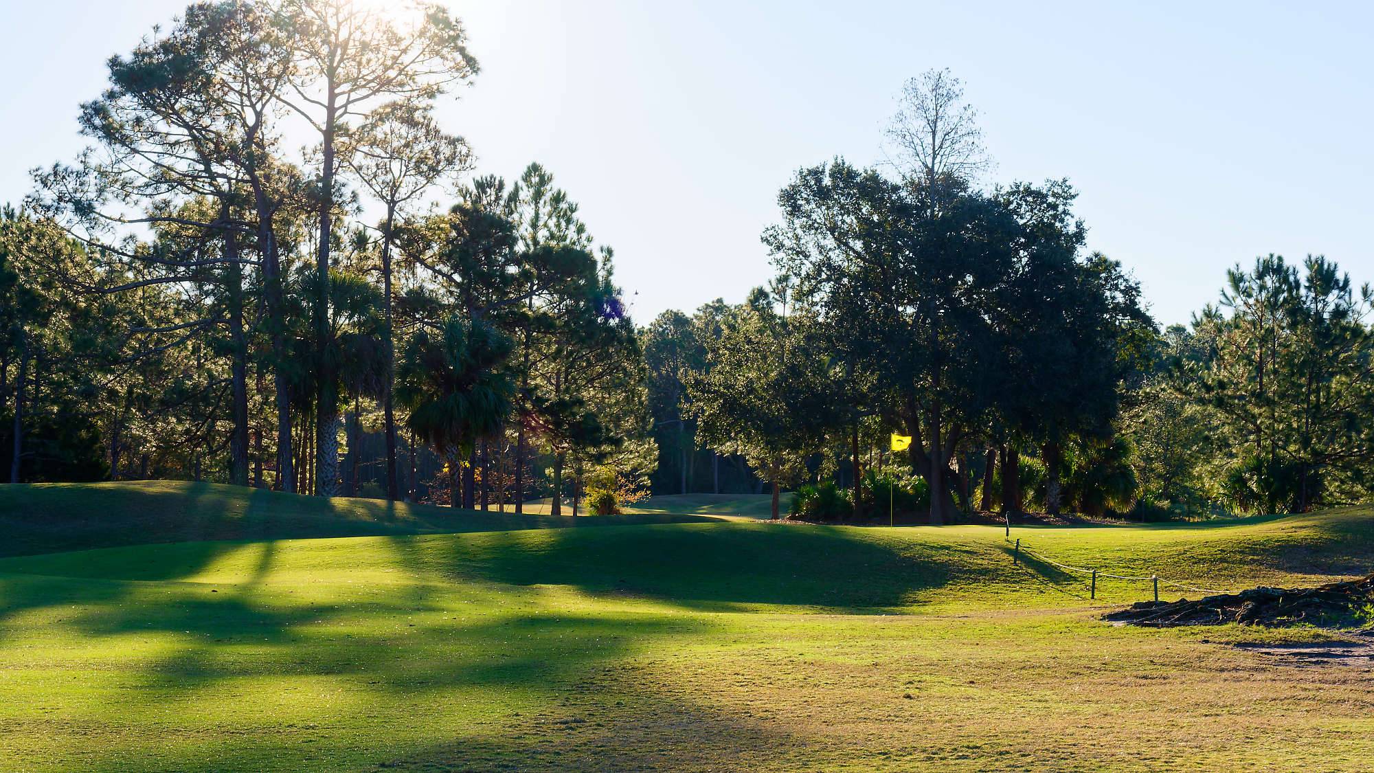 Cypress Head Bahn 10-18 MZ6 _7920_DxO