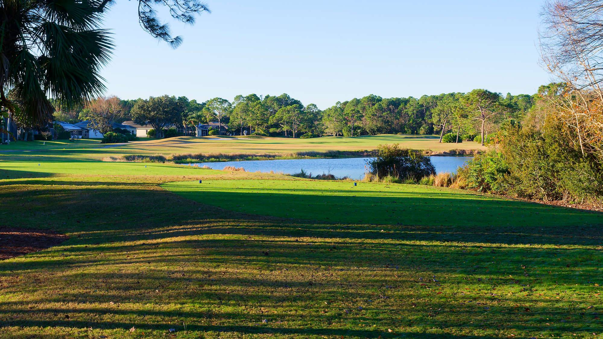Cypress Head Bahn 10-18 MZ6 _7922_DxO