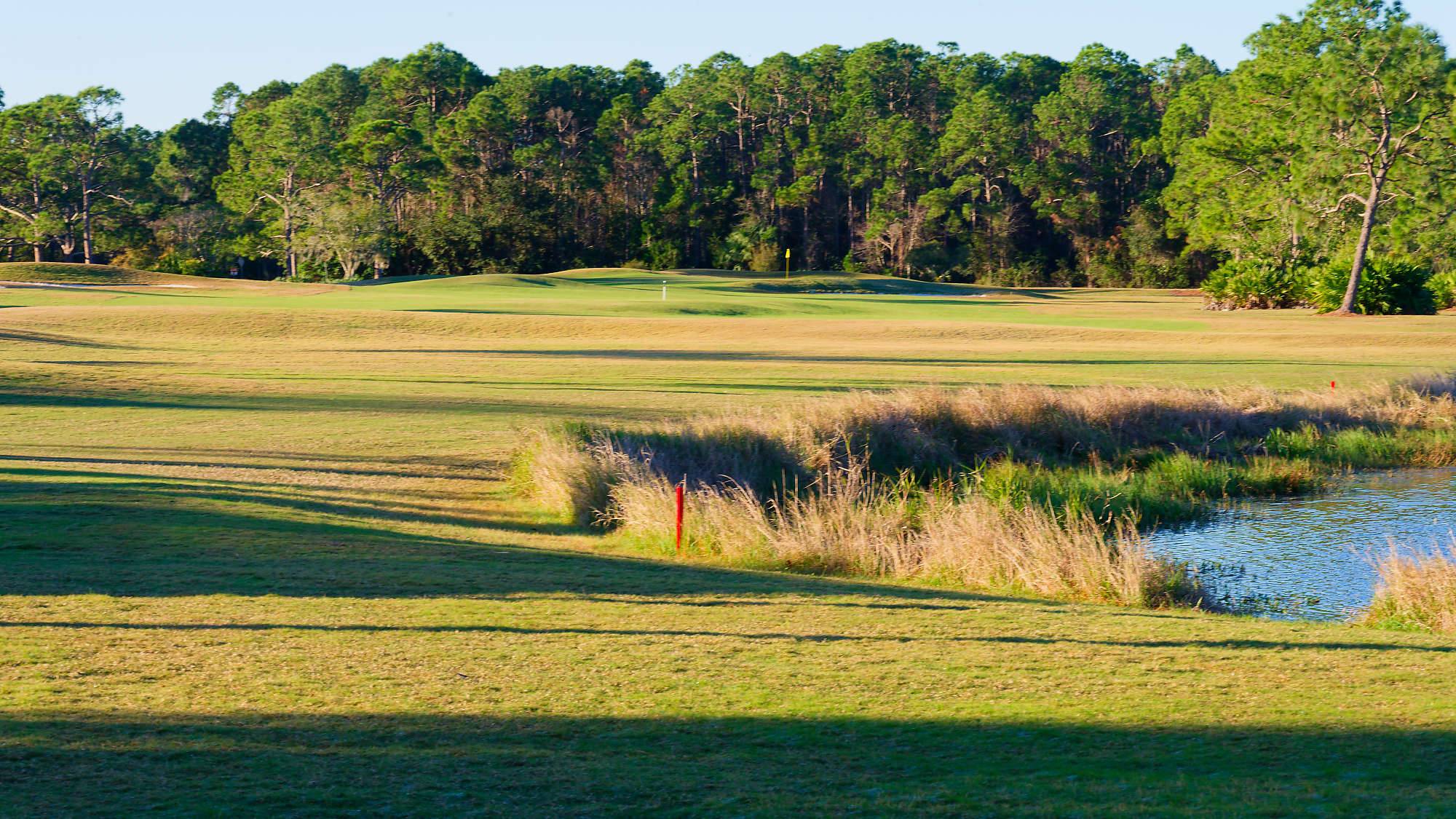 Cypress Head Bahn 10-18 MZ6 _7923_DxO