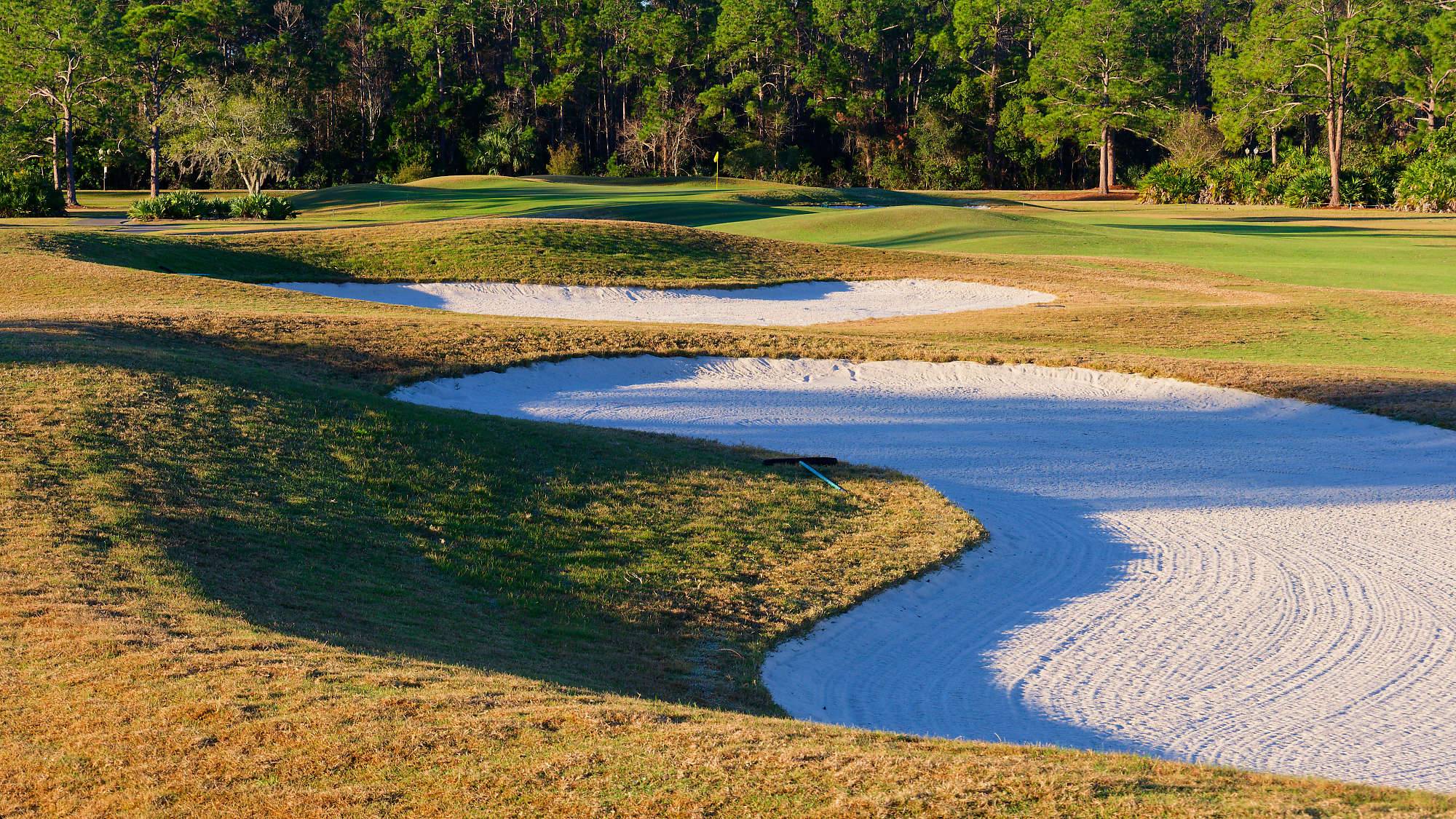 Cypress Head Bahn 10-18 MZ6 _7925_DxO