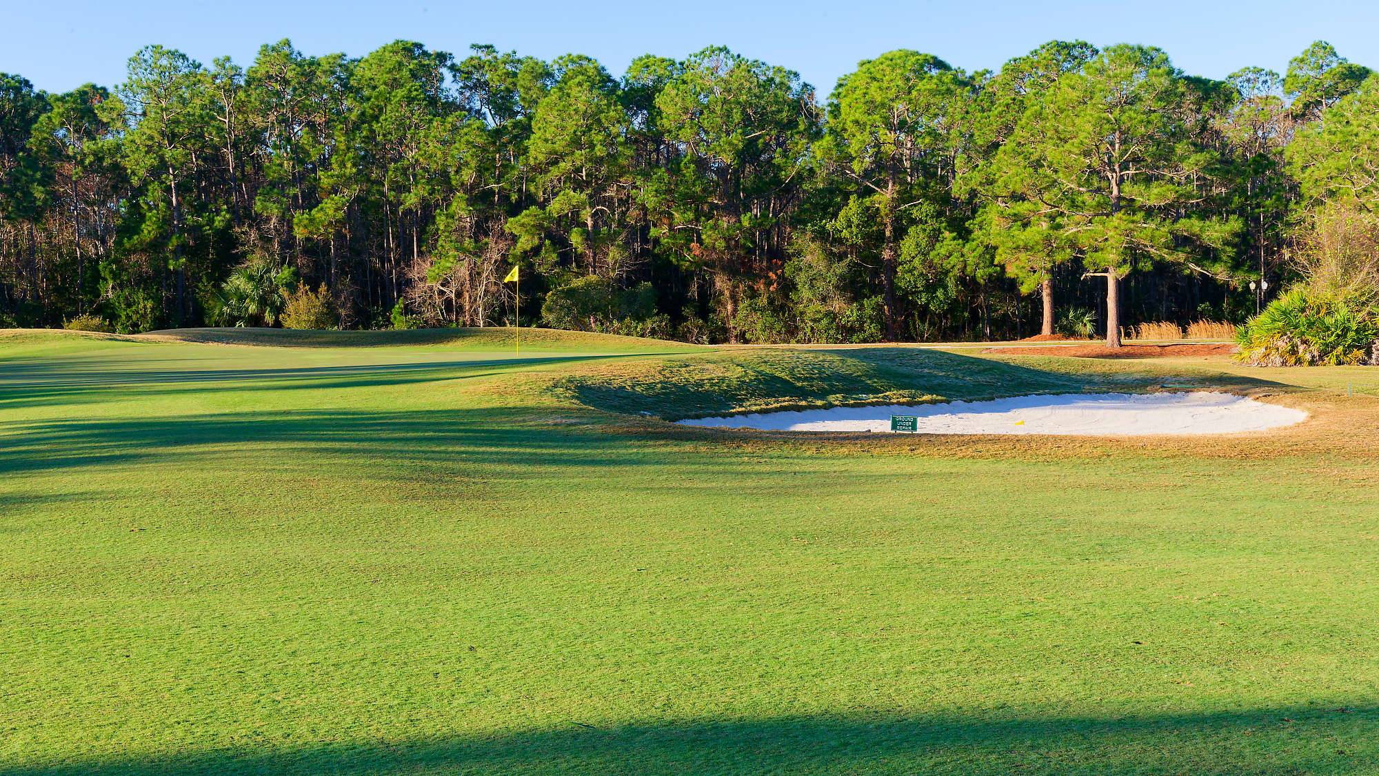 Cypress Head Bahn 10-18 MZ6 _7926_DxO