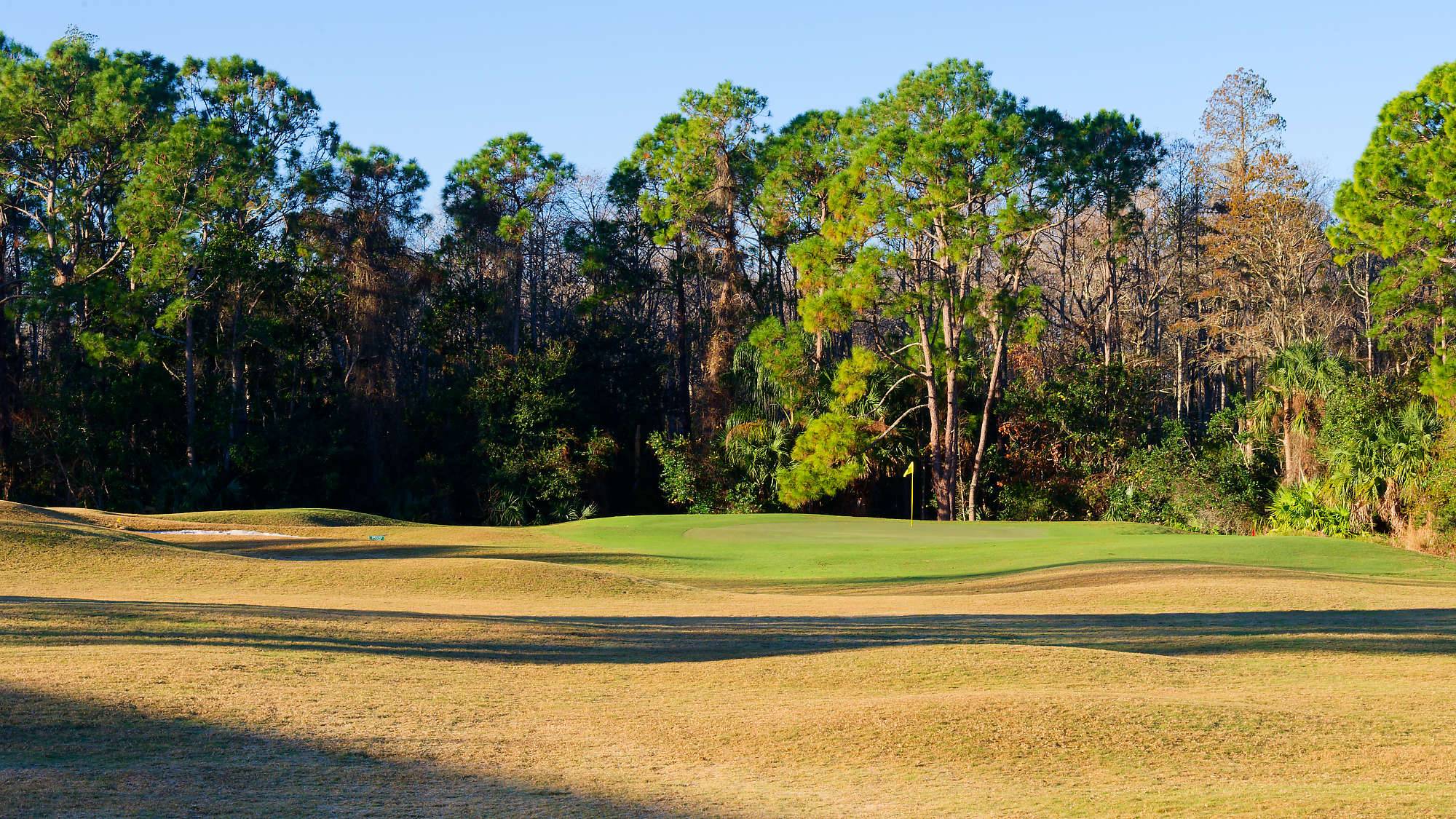 Cypress Head Bahn 10-18 MZ6 _7931_DxO
