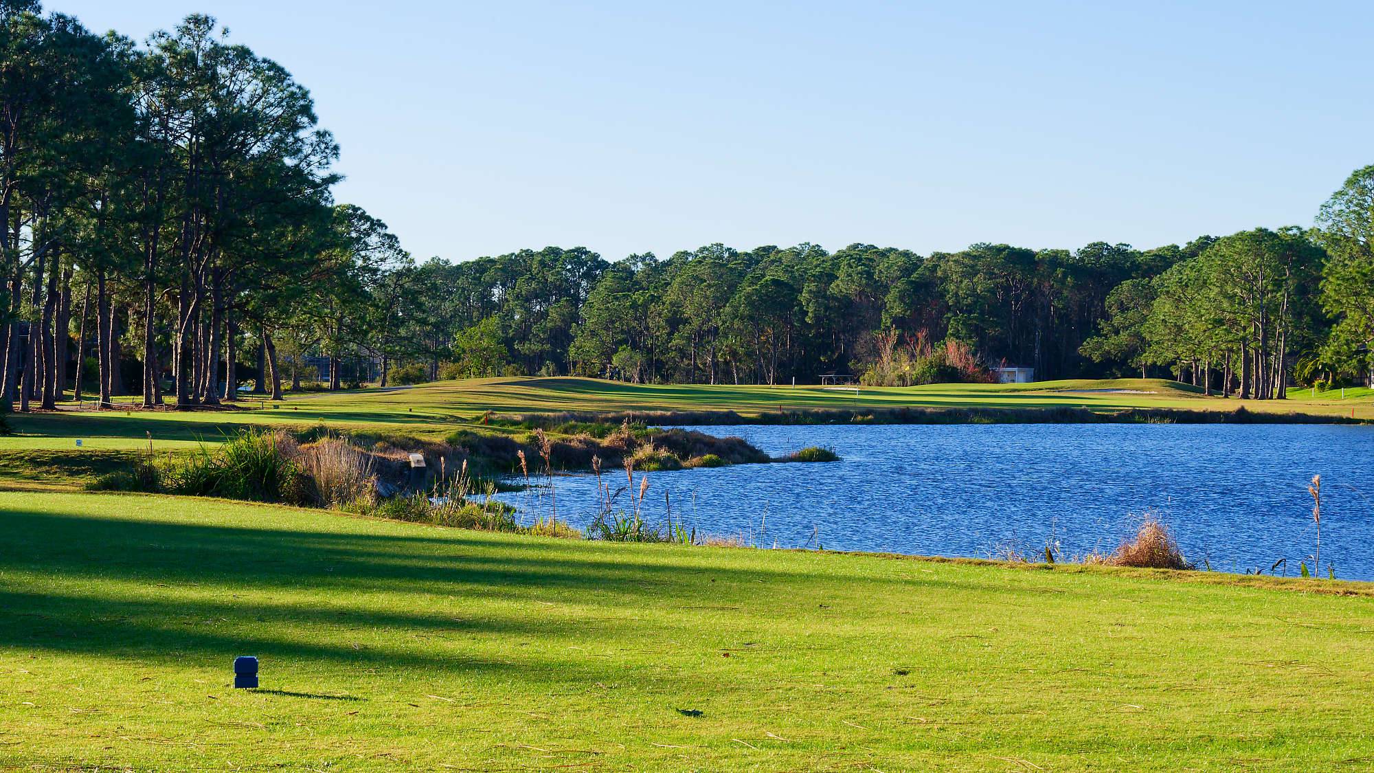 Cypress Head Bahn 10-18 MZ6 _7932_DxO