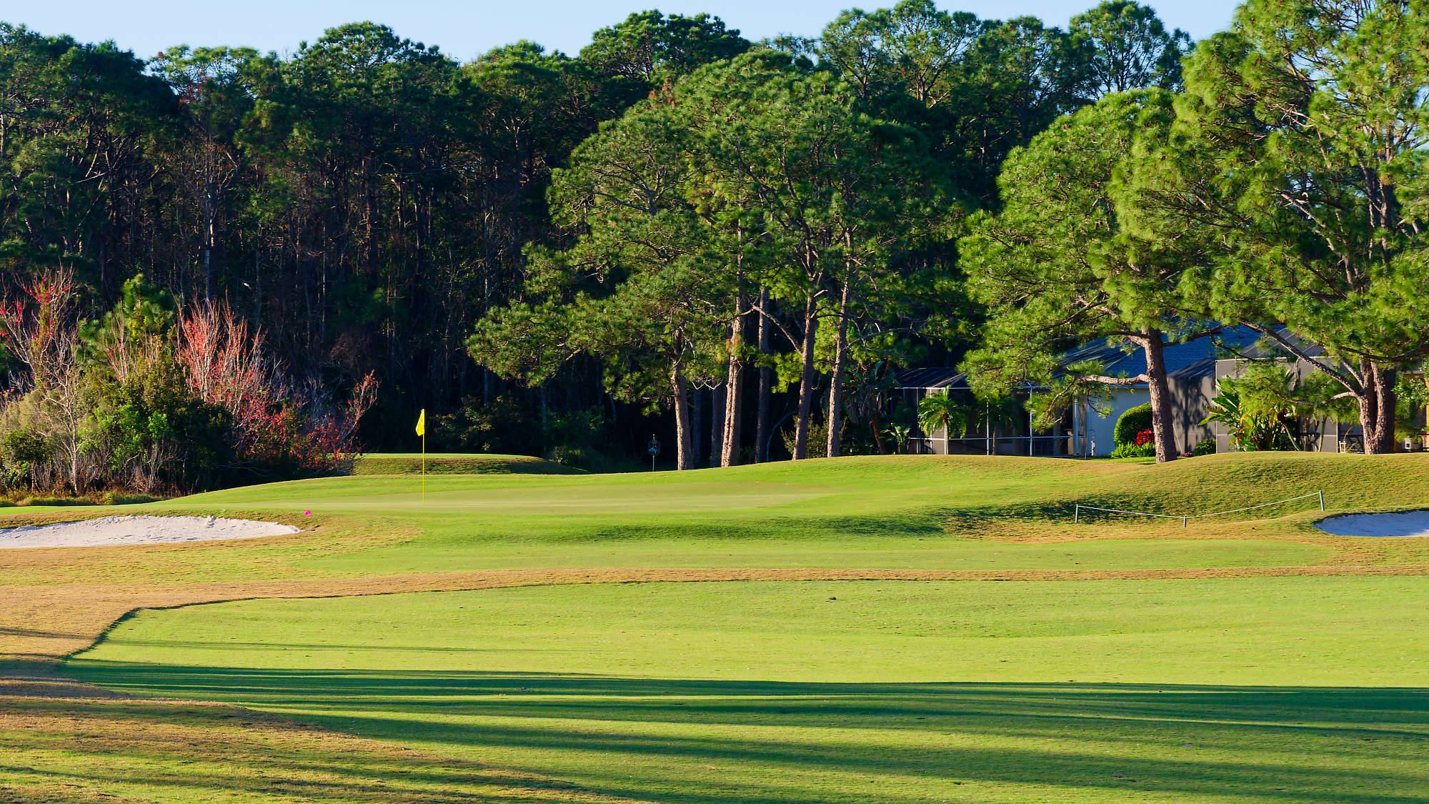 Cypress Head Bahn 10-18 MZ6 _7936_DxO