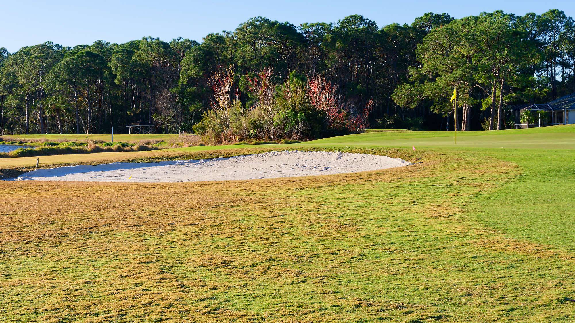 Cypress Head Bahn 10-18 MZ6 _7937_DxO