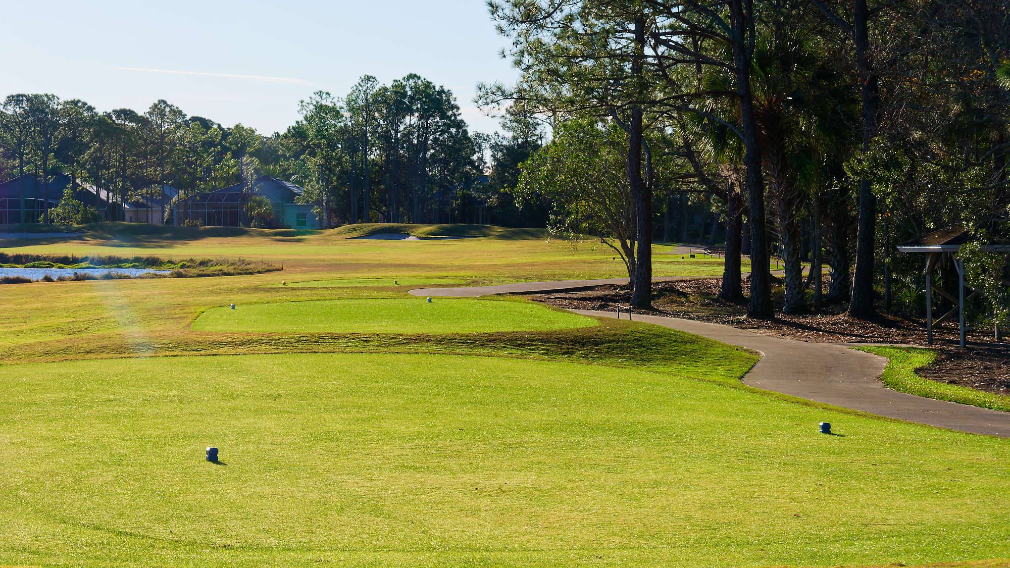 Cypress Head Bahn 10-18 MZ6 _7938_DxO