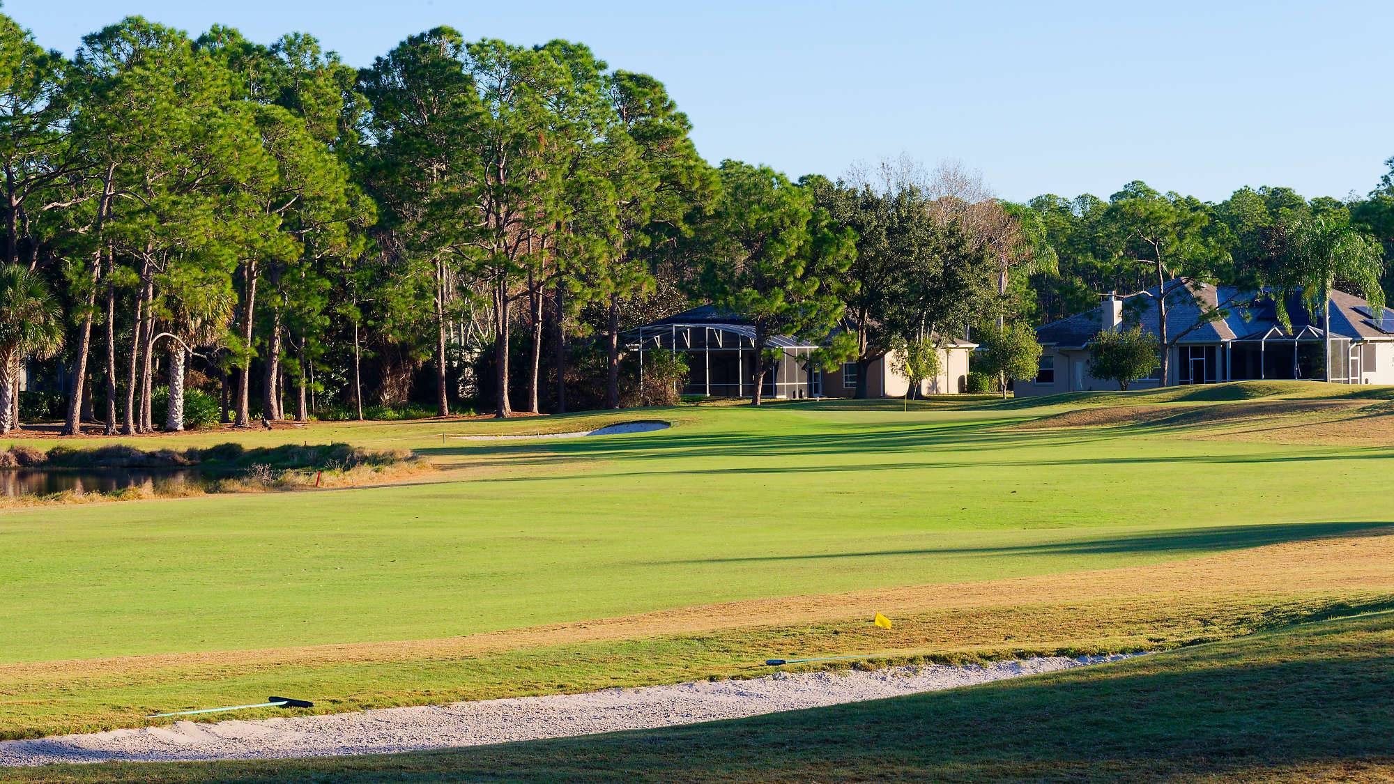 Cypress Head Bahn 10-18 MZ6 _7946_DxO