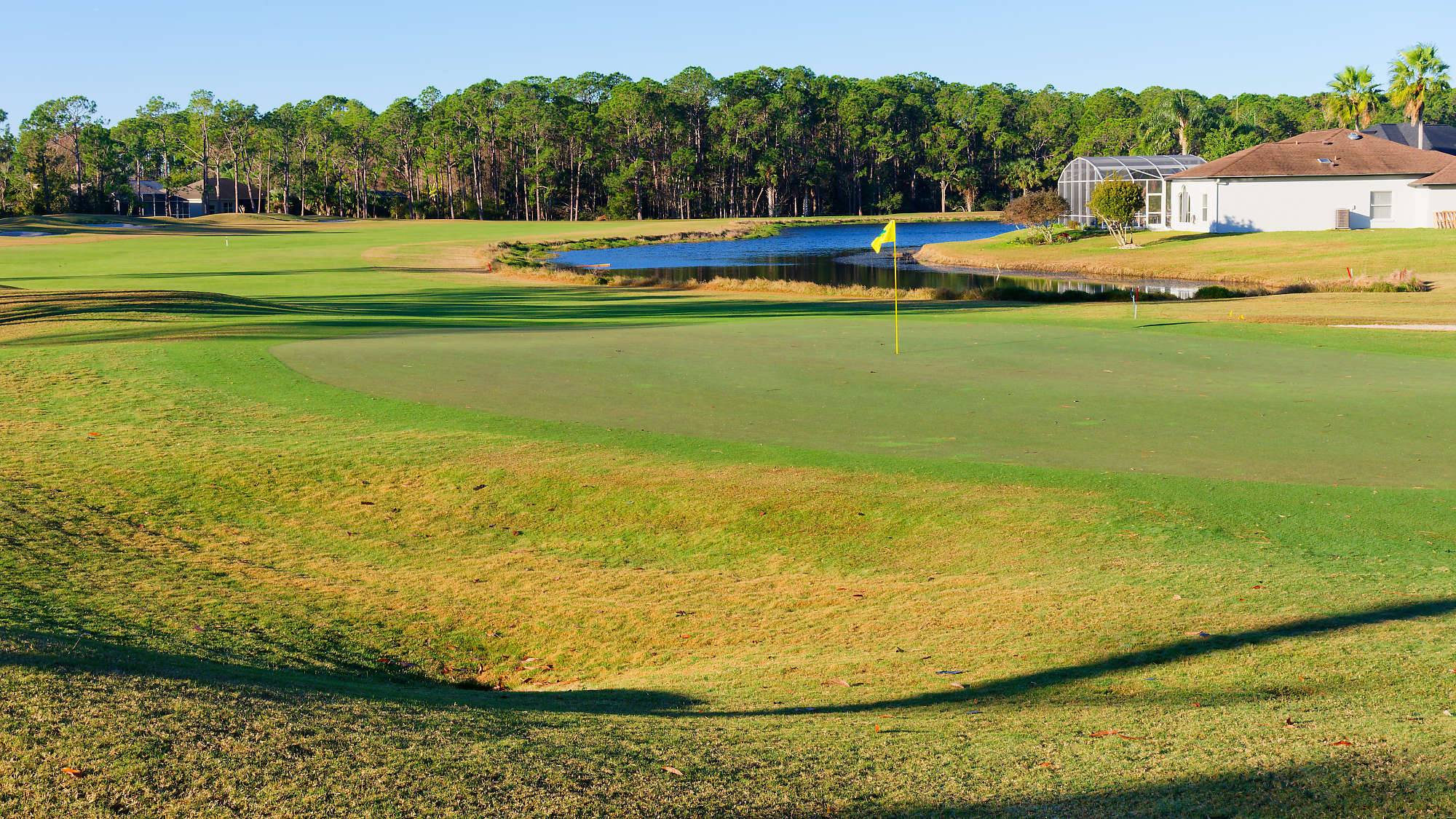 Cypress Head Bahn 10-18 MZ6 _7947_DxO
