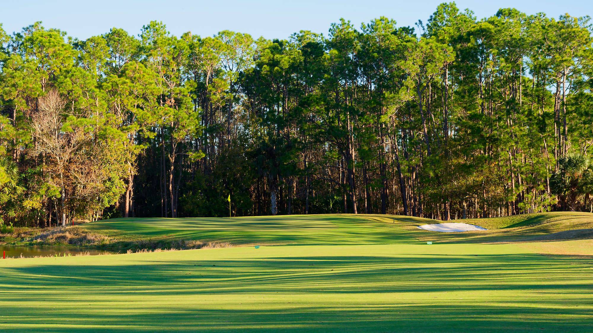 Cypress Head Bahn 10-18 MZ6 _7956_DxO