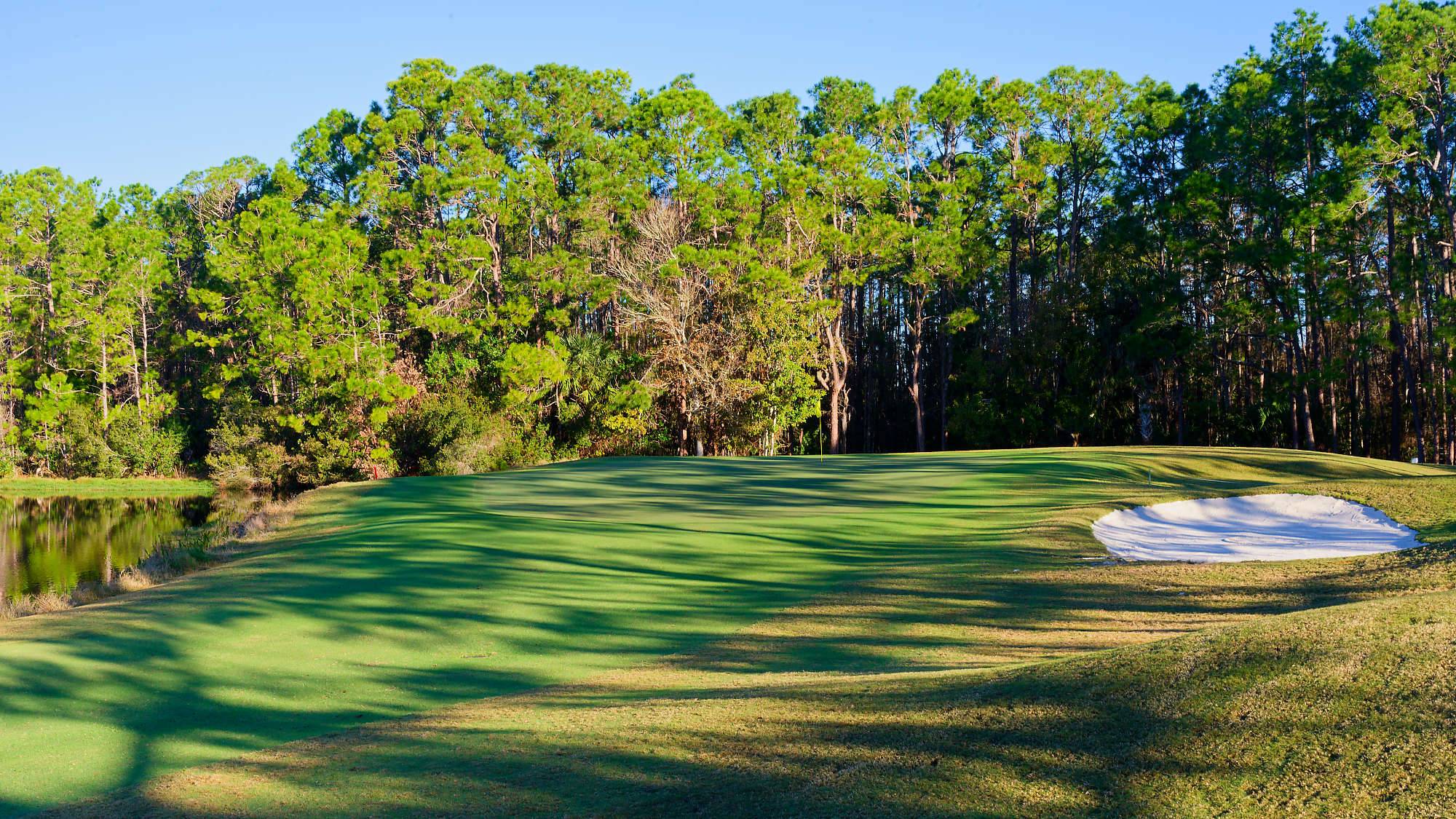 Cypress Head Bahn 10-18 MZ6 _7959_DxO