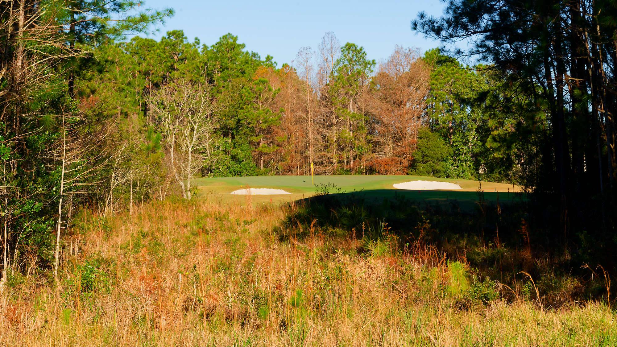 Cypress Head Bahn 10-18 MZ6 _7962_DxO