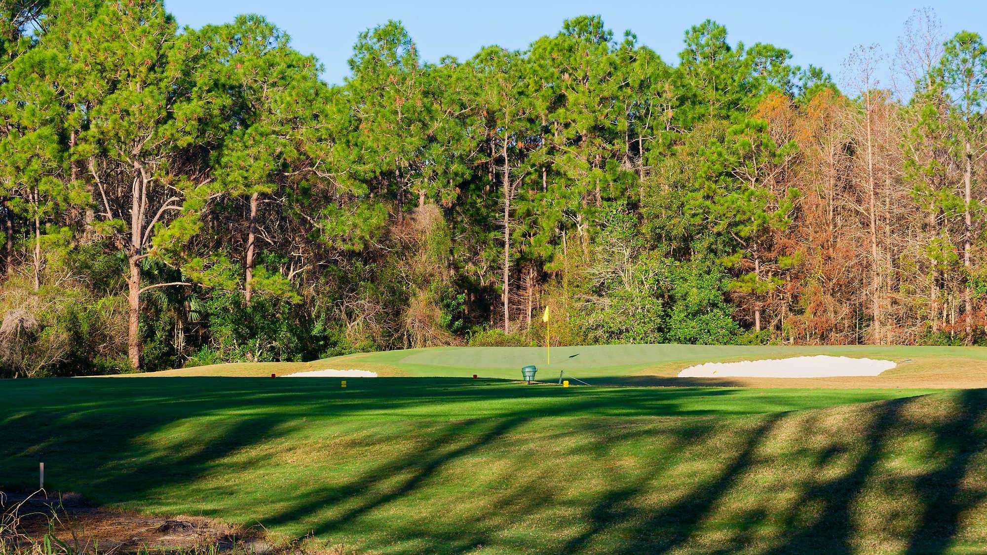 Cypress Head Bahn 10-18 MZ6 _7965_DxO