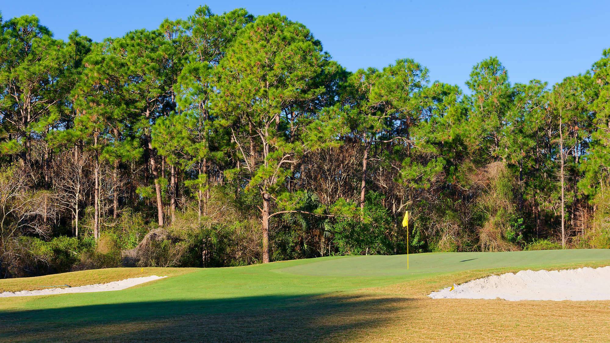 Cypress Head Bahn 10-18 MZ6 _7968_DxO