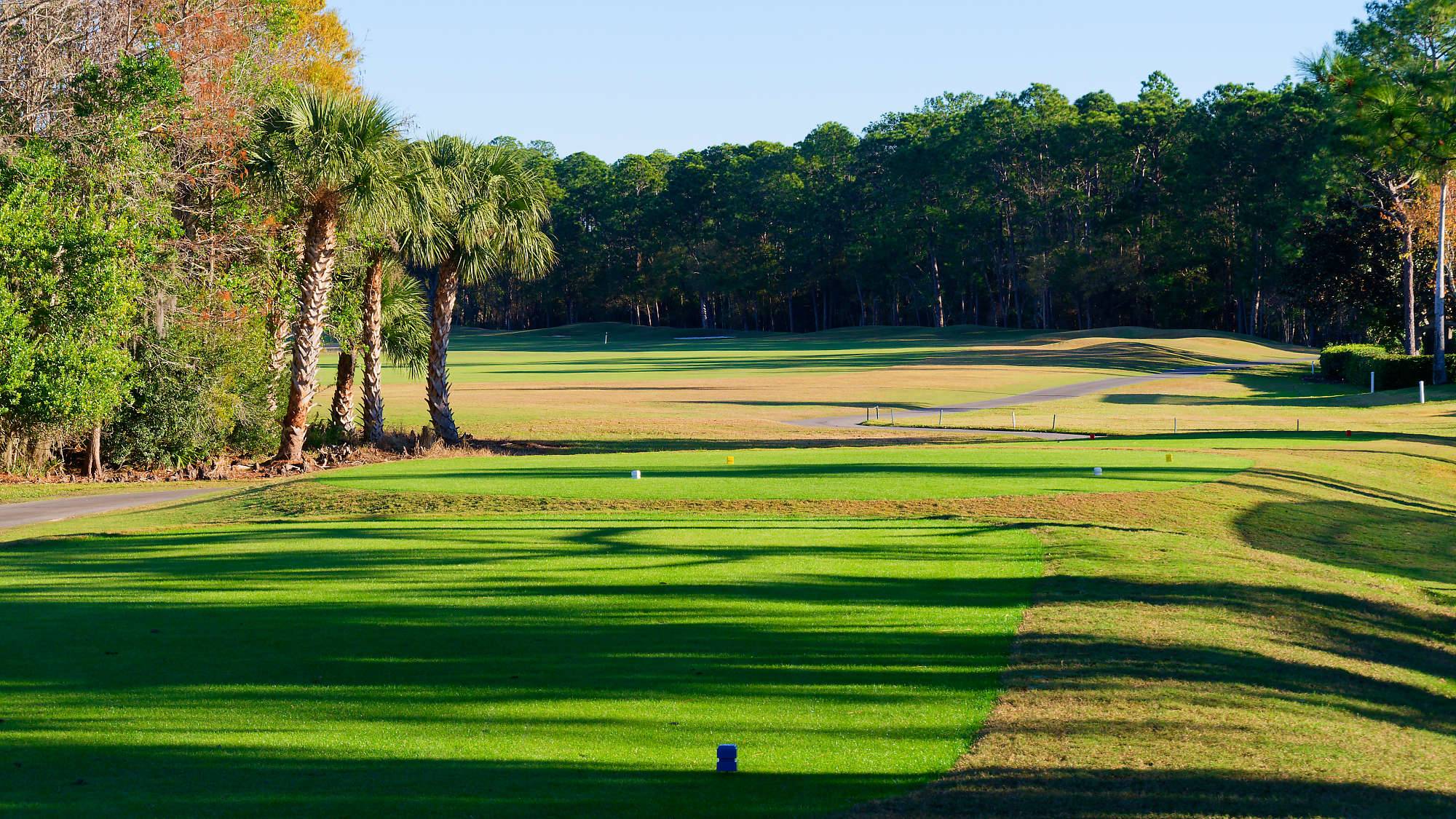 Cypress Head Bahn 10-18 MZ6 _7971_DxO