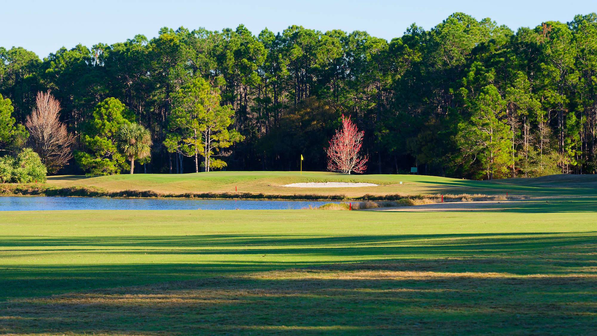 Cypress Head Bahn 10-18 MZ6 _7982_DxO