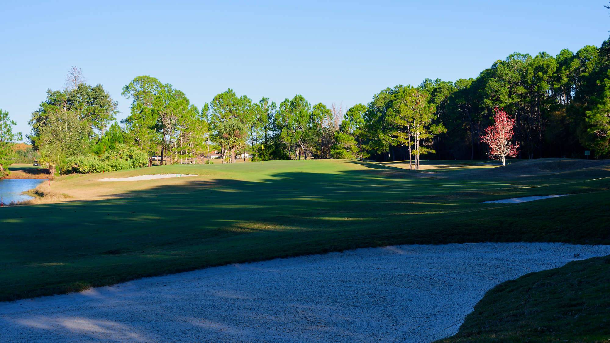 Cypress Head Bahn 10-18 MZ6 _7989_DxO