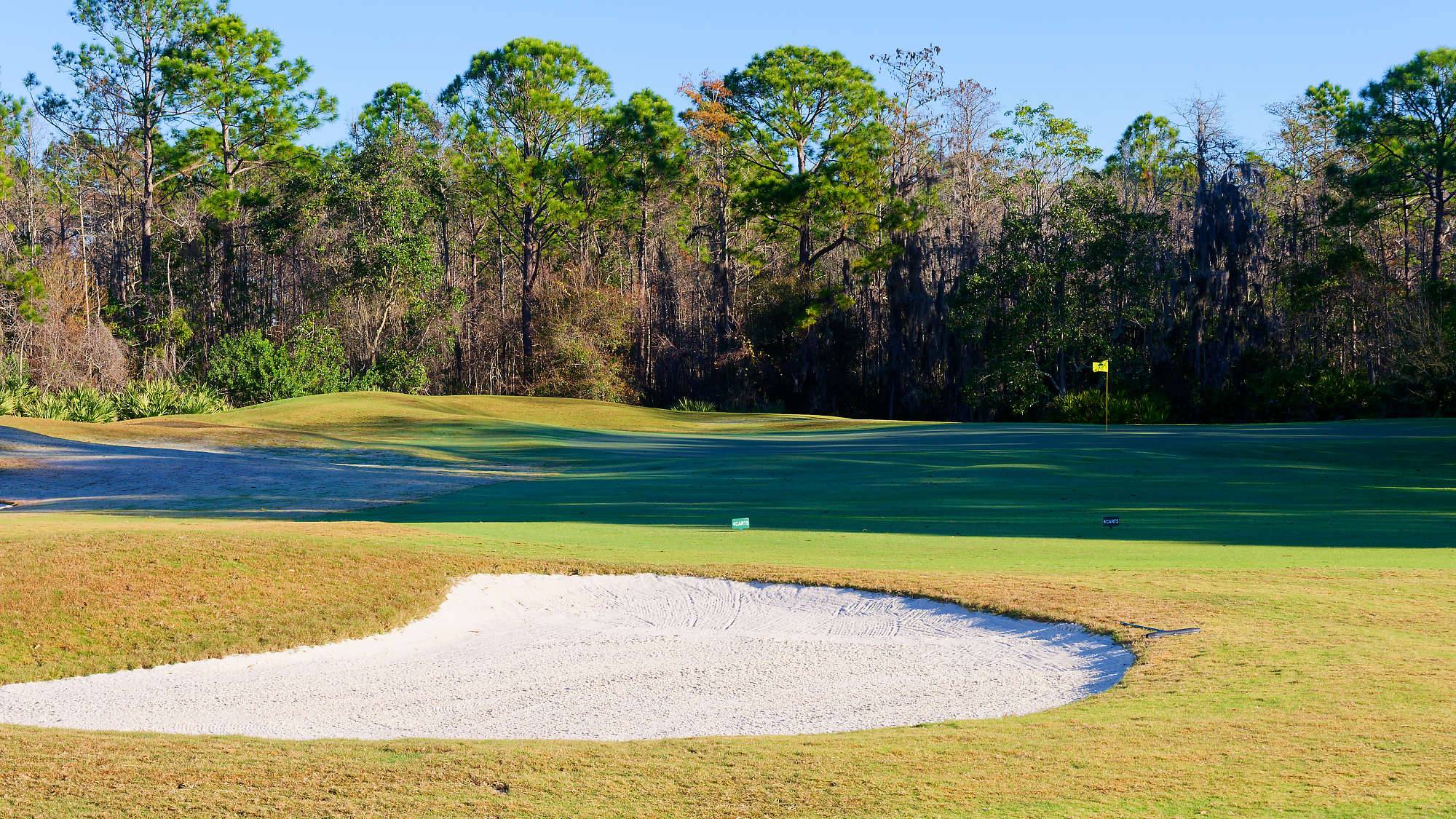 Cypress Head Bahn 10-18 MZ6 _7995_DxO