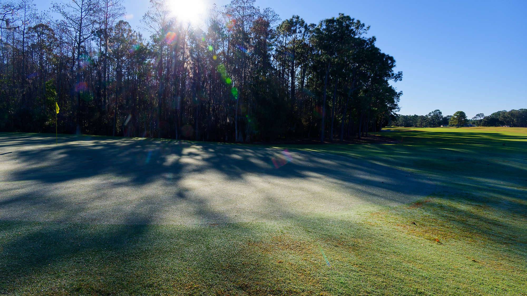 Cypress Head Bahn 10-18 MZ6 _7999_DxO