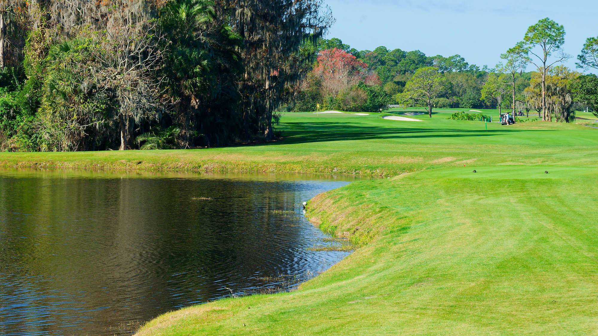 Disney Magnolia Bahn 1-9 MZ6 _8711_DxO