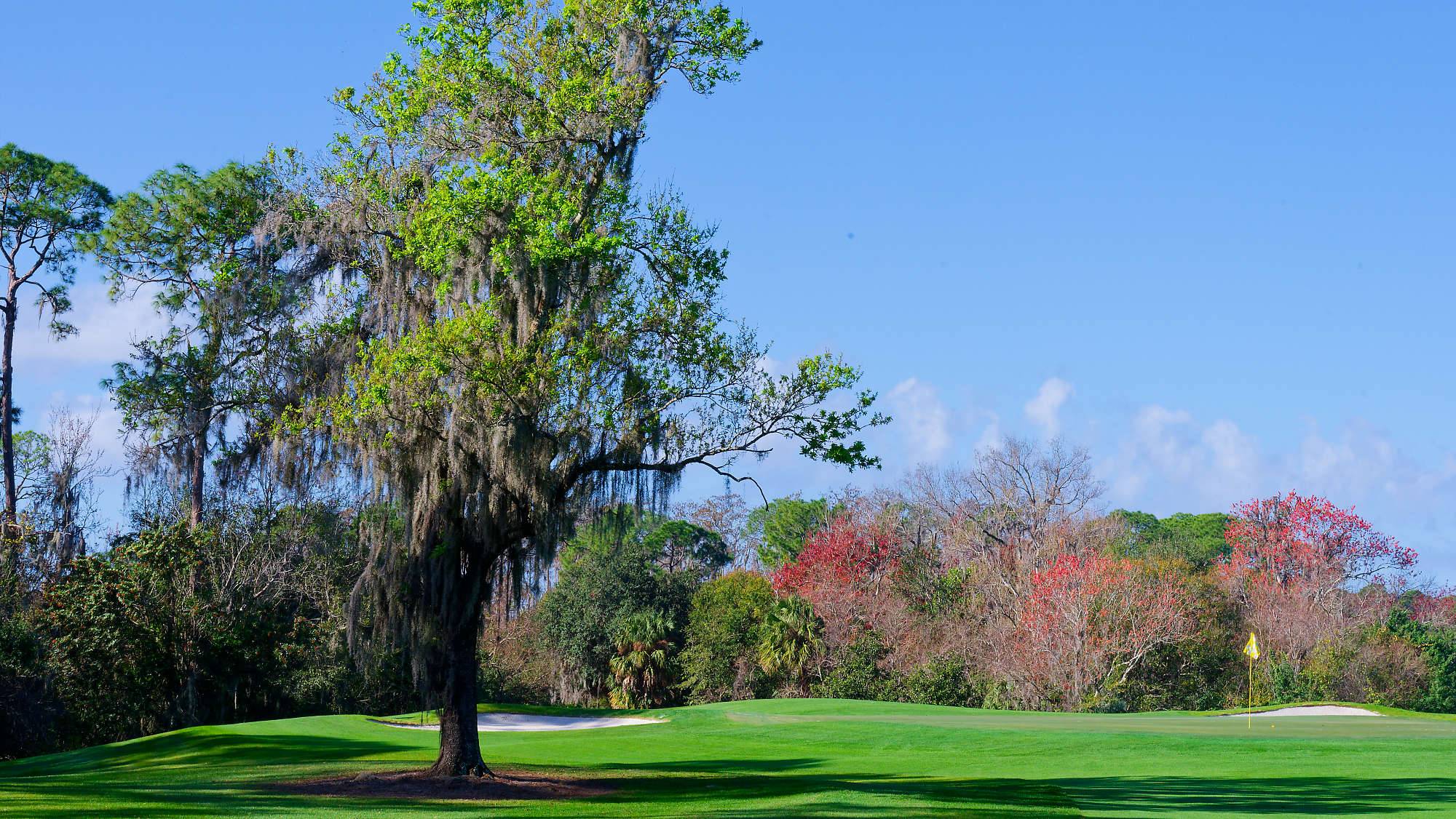 Disney Magnolia Bahn 1-9 MZ6 _8715_DxO