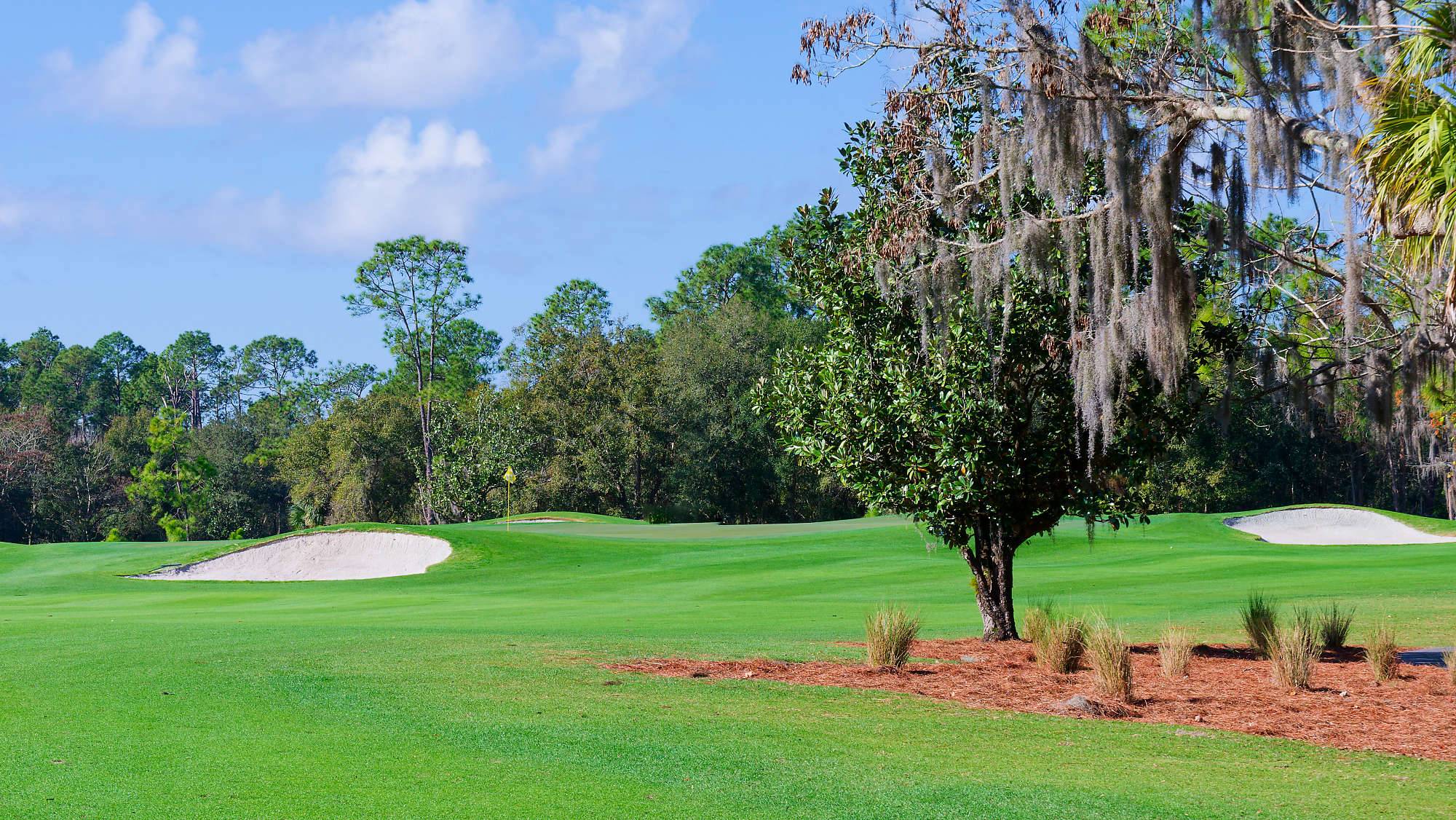 Disney Magnolia Bahn 1-9 MZ6 _8719_DxO