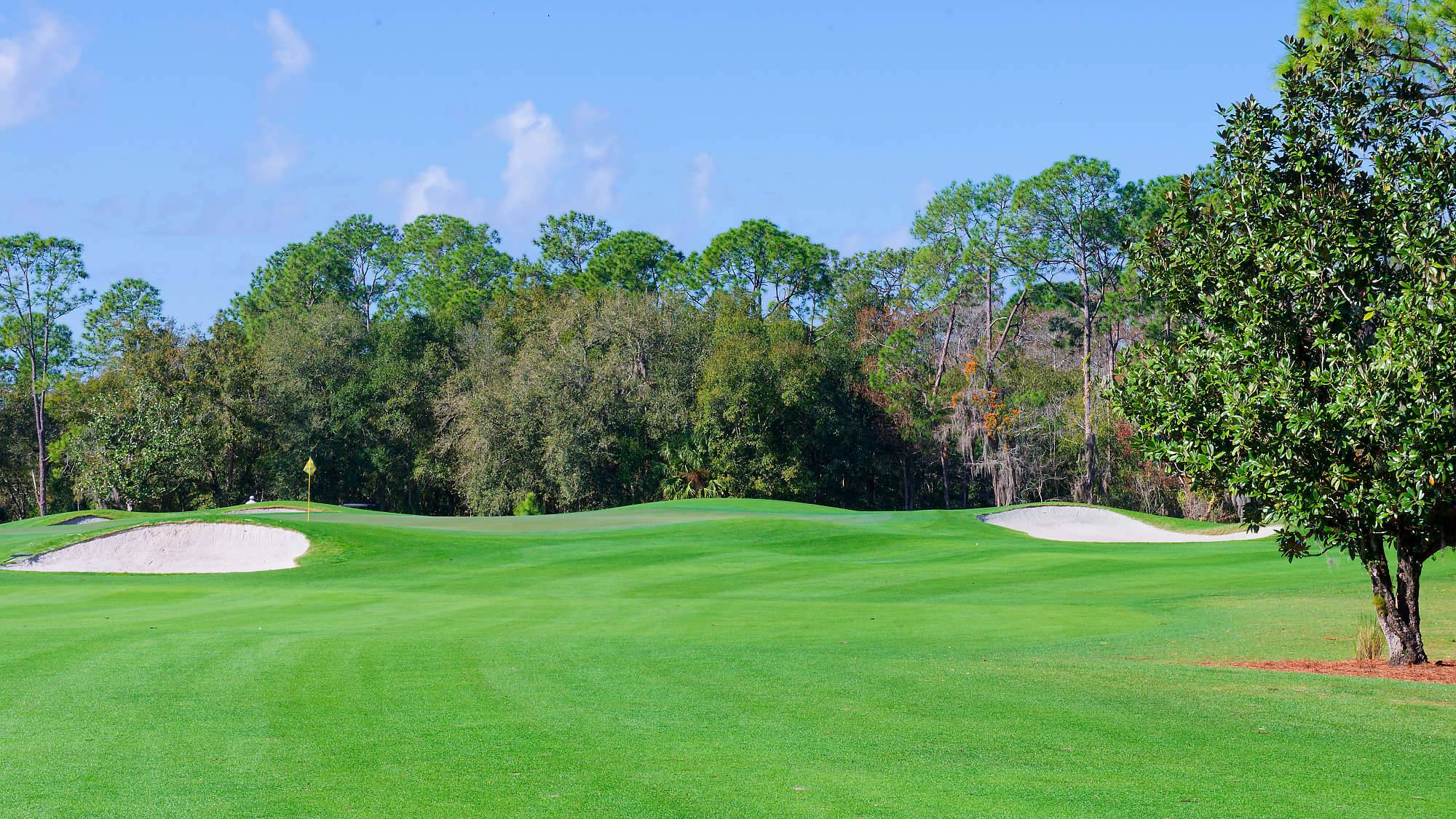 Disney Magnolia Bahn 1-9 MZ6 _8721_DxO