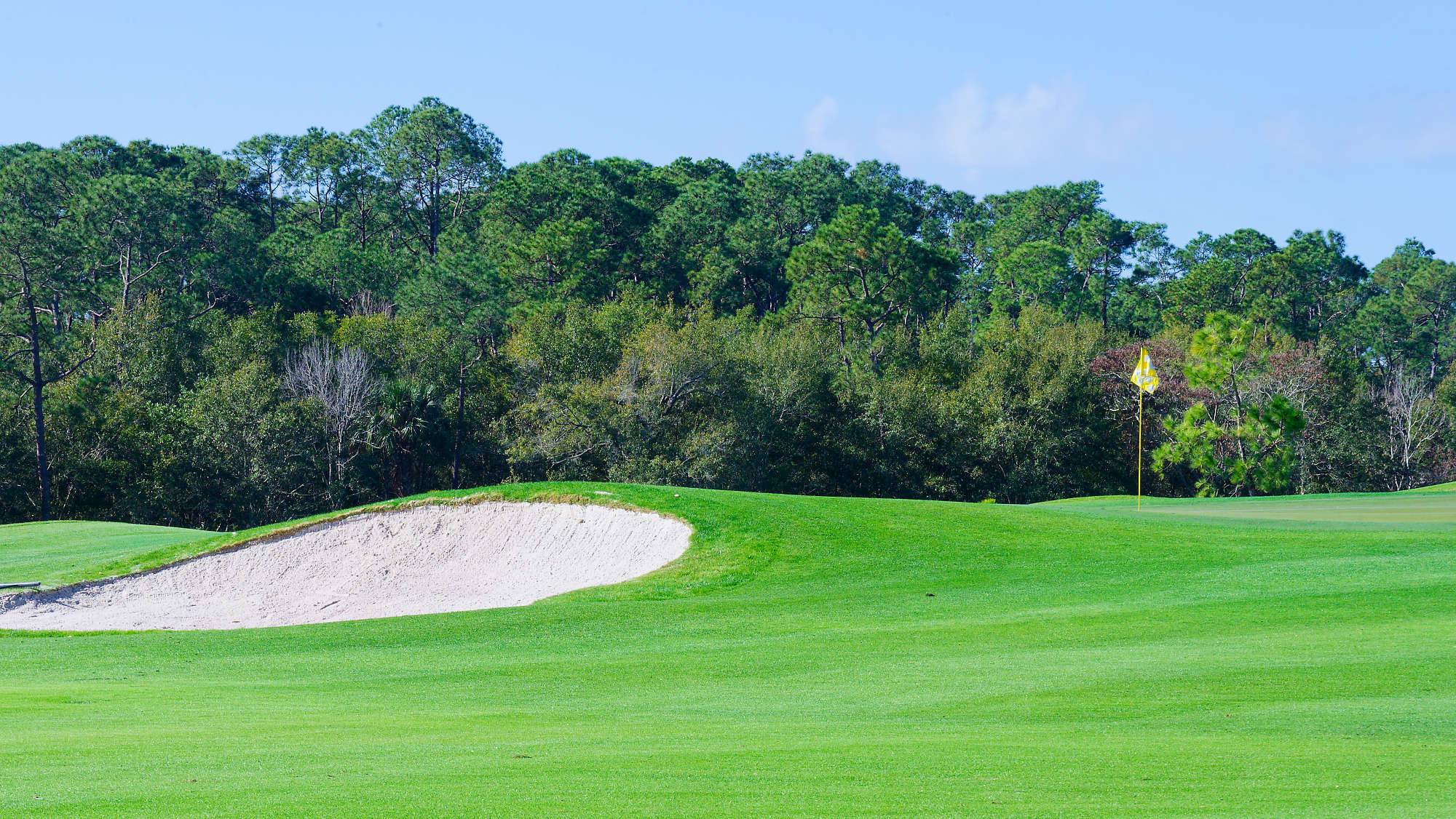 Disney Magnolia Bahn 1-9 MZ6 _8723_DxO