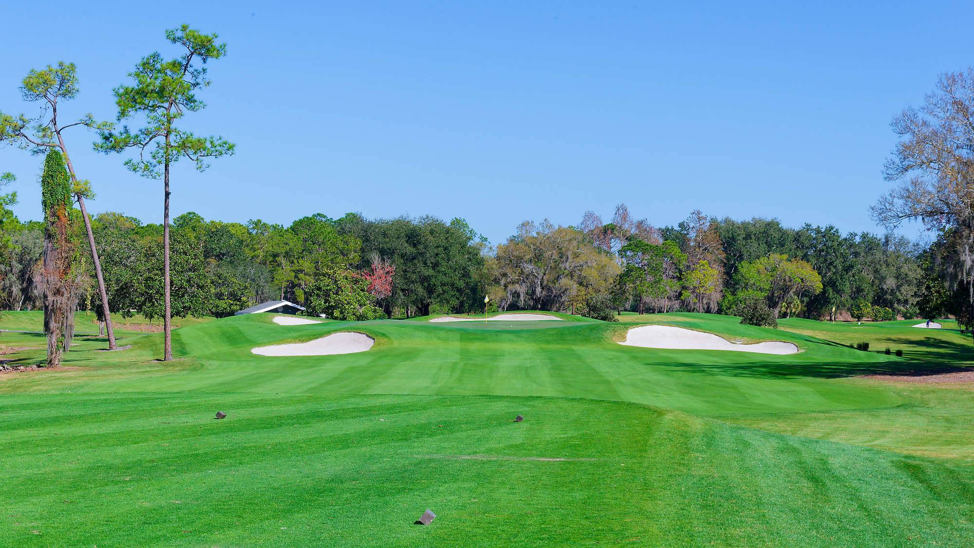 Disney Magnolia Bahn 1-9 MZ6 _8724_DxO