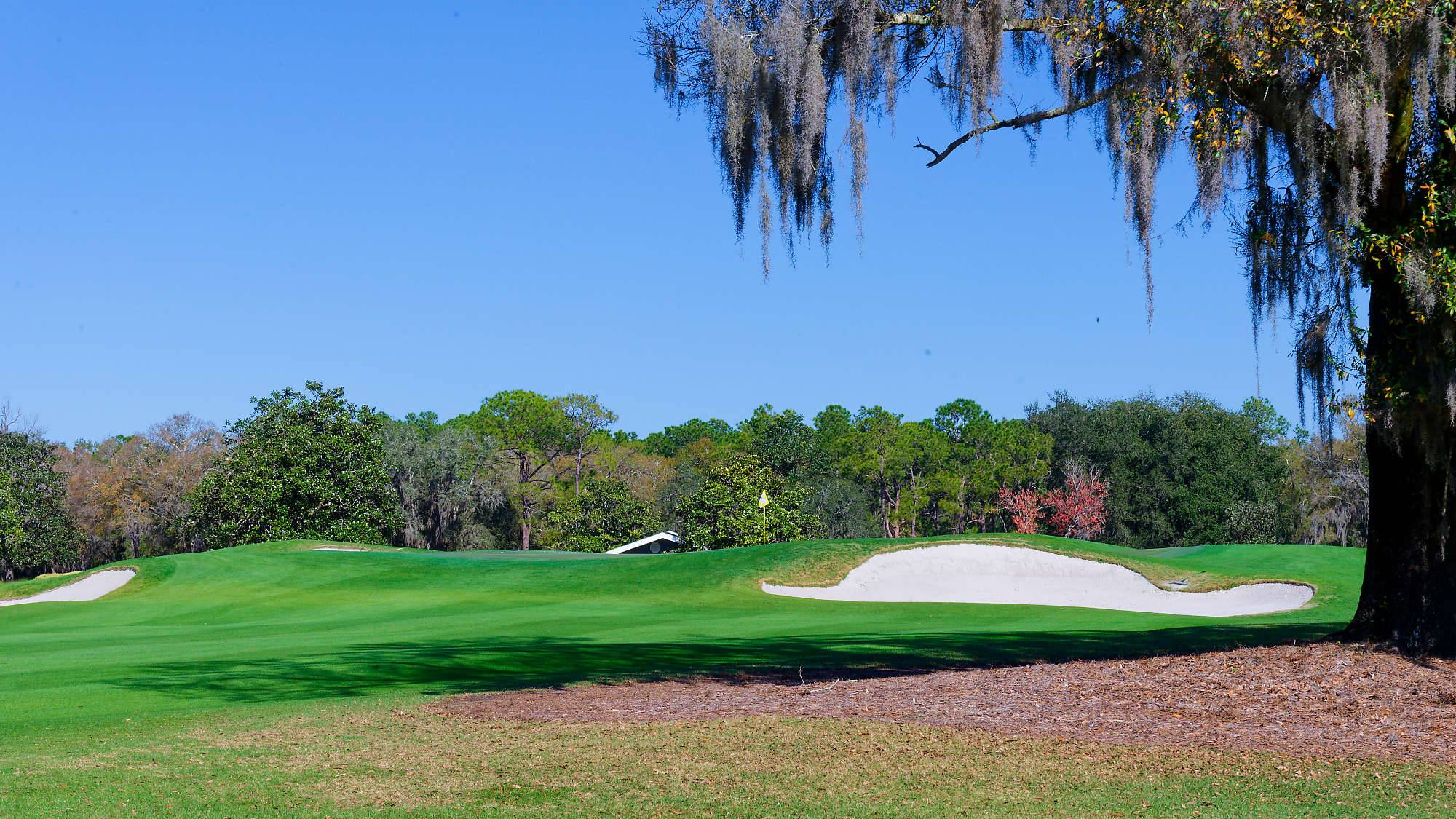 Disney Magnolia Bahn 1-9 MZ6 _8726_DxO