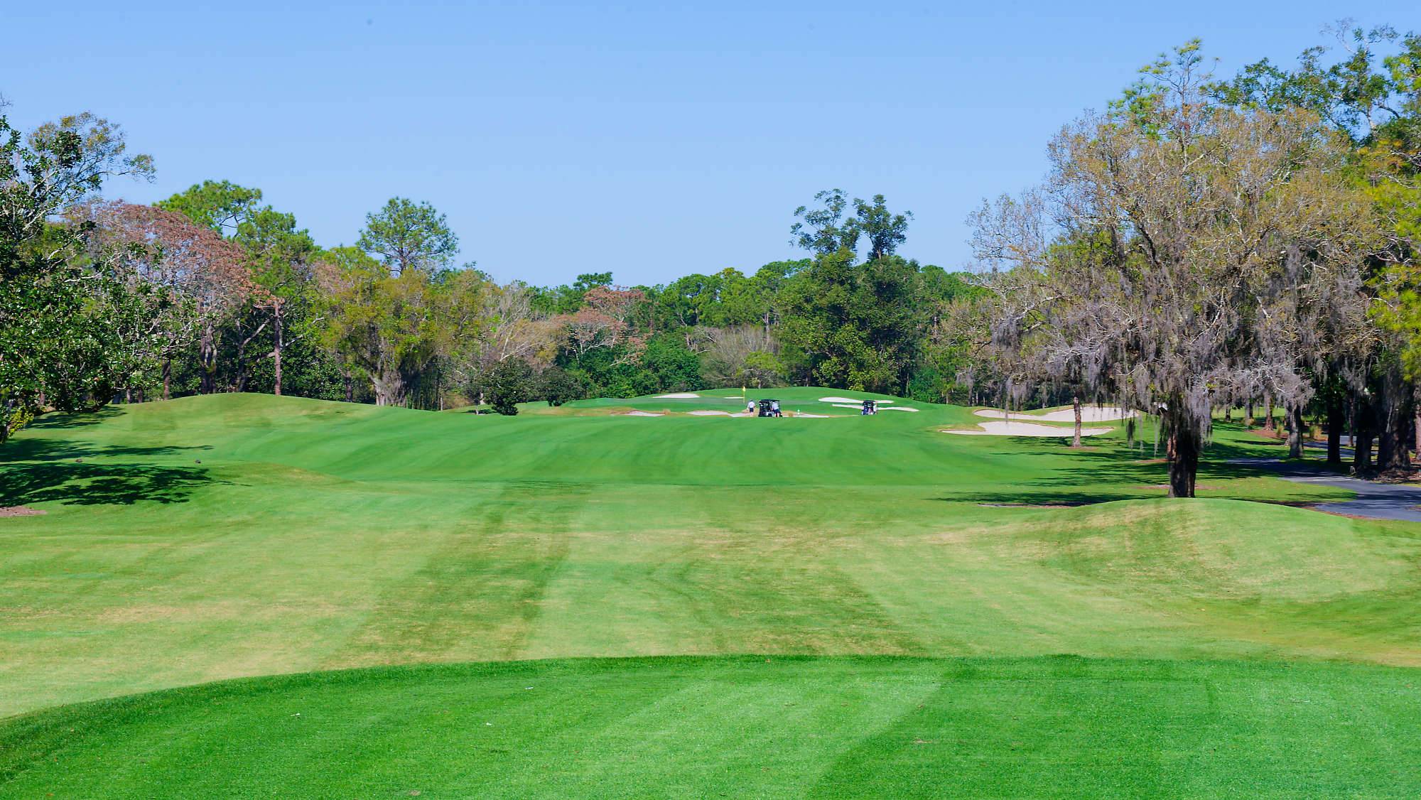 Disney Magnolia Bahn 1-9 MZ6 _8727_DxO