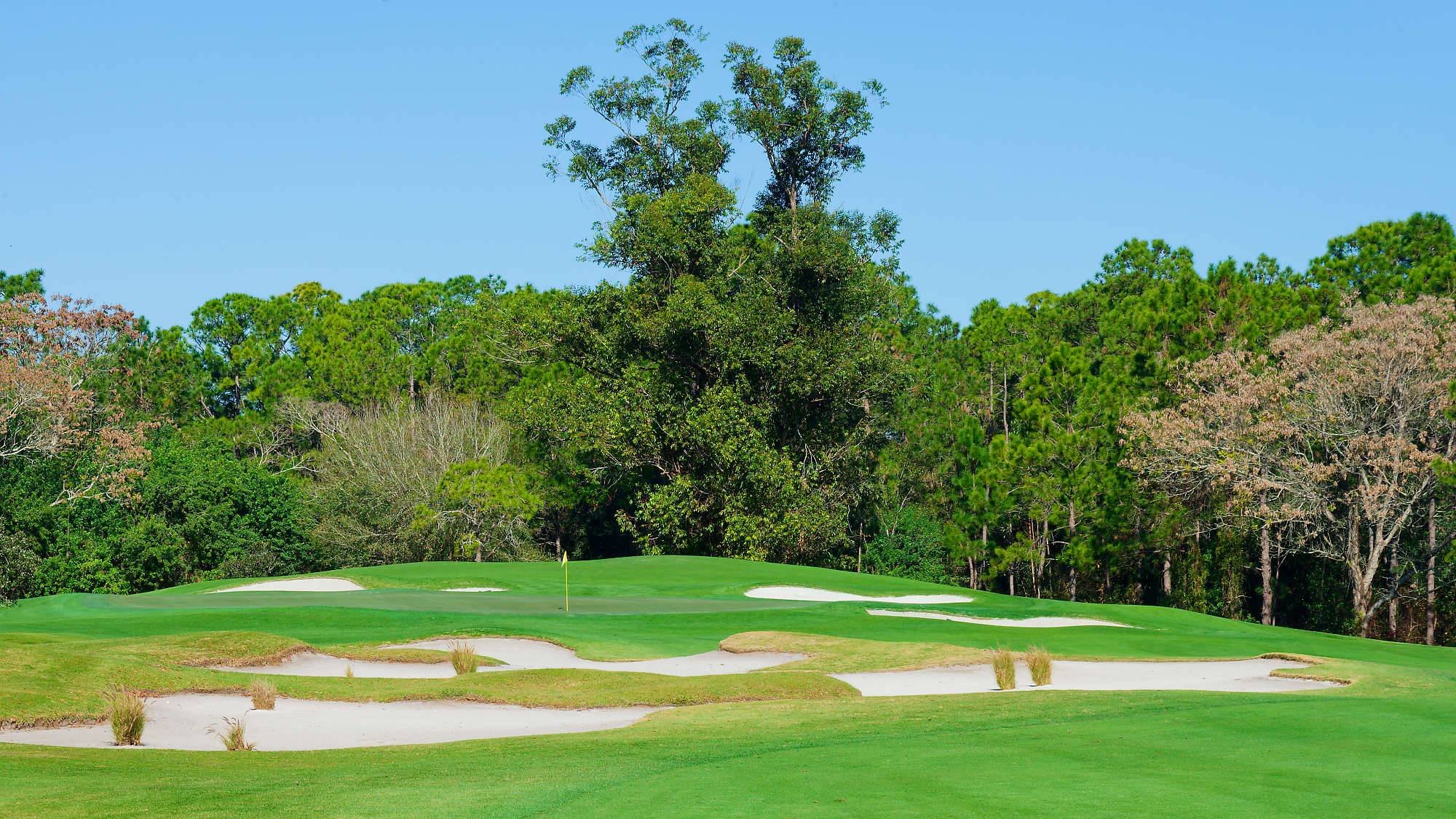 Disney Magnolia Bahn 1-9 MZ6 _8729_DxO