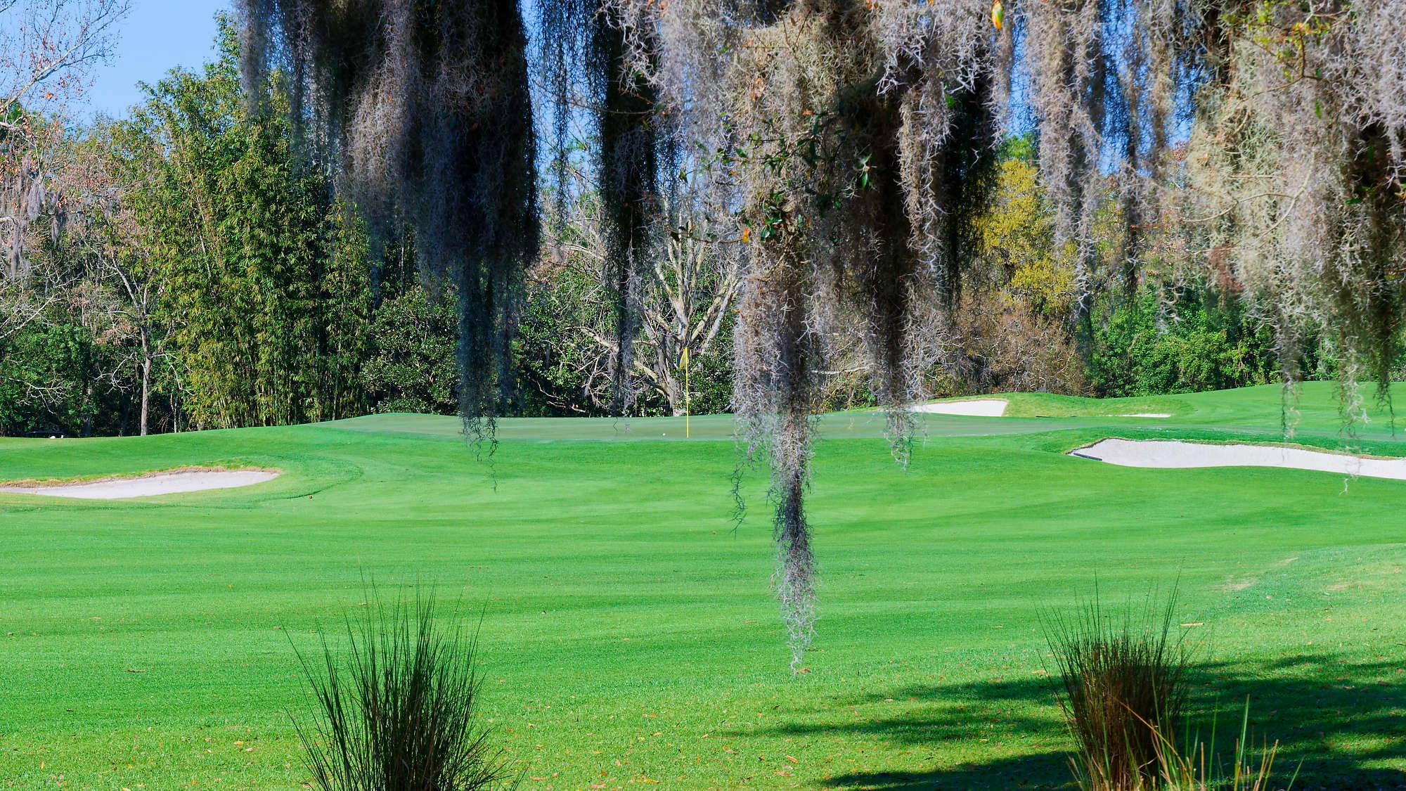 Disney Magnolia Bahn 1-9 MZ6 _8731_DxO