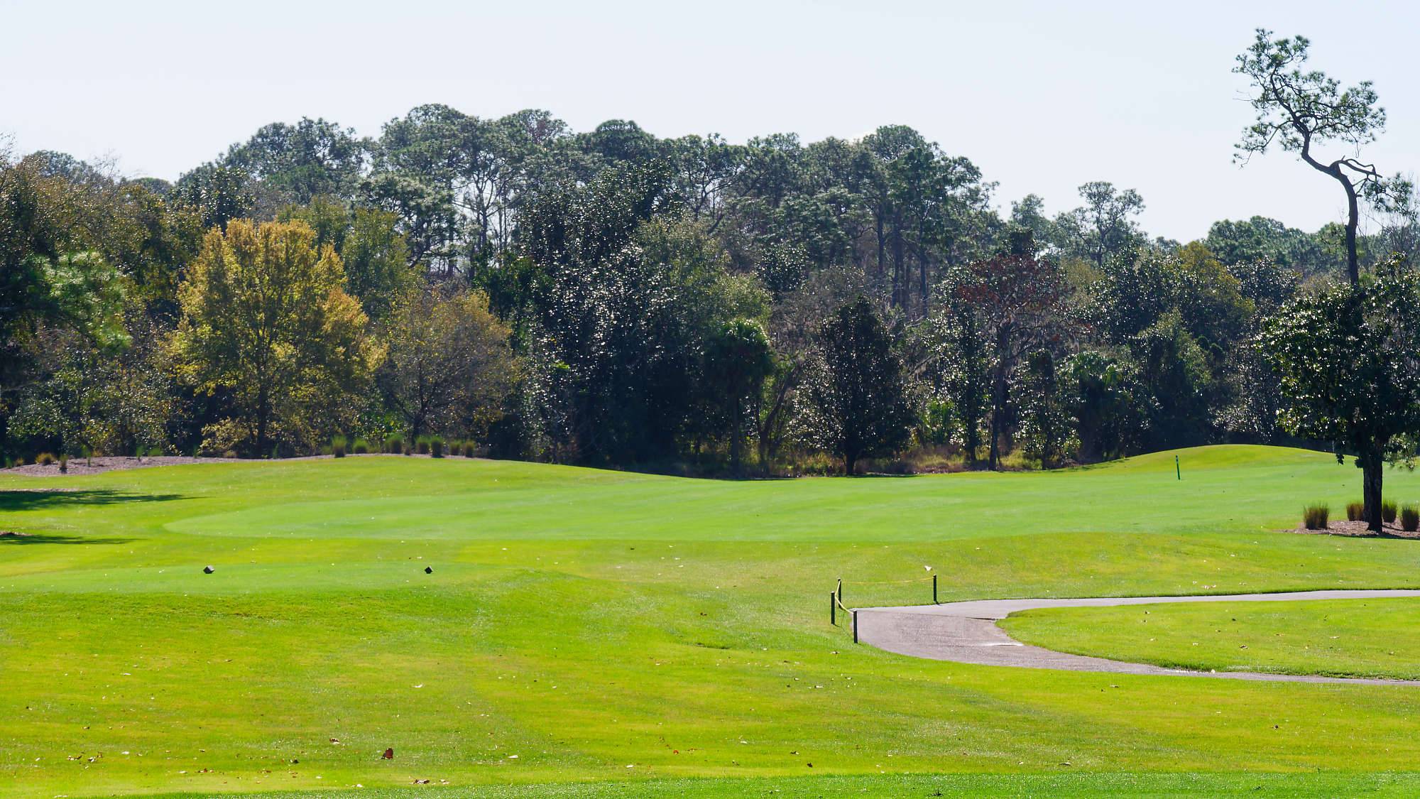 Disney Magnolia Bahn 1-9 MZ6 _8735_DxO