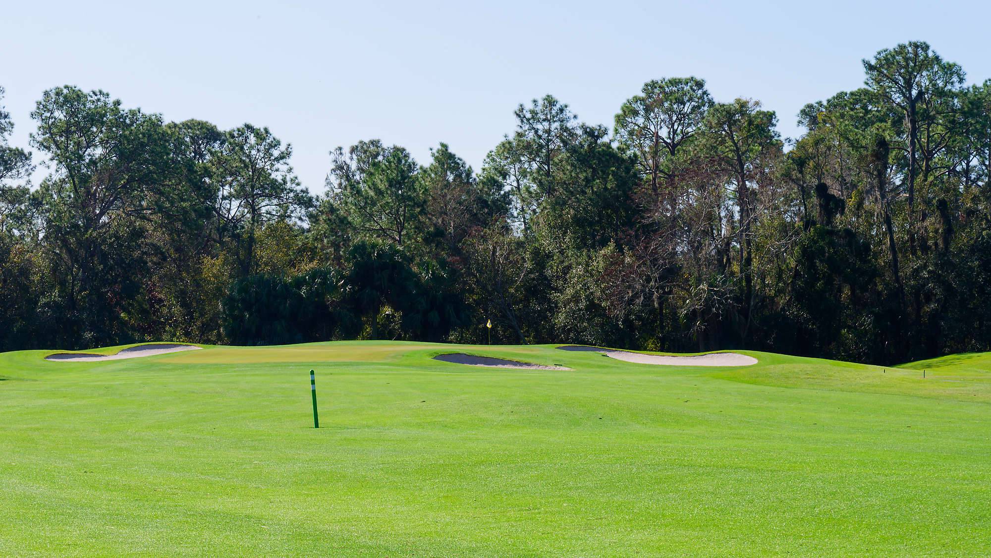 Disney Magnolia Bahn 1-9 MZ6 _8736_DxO