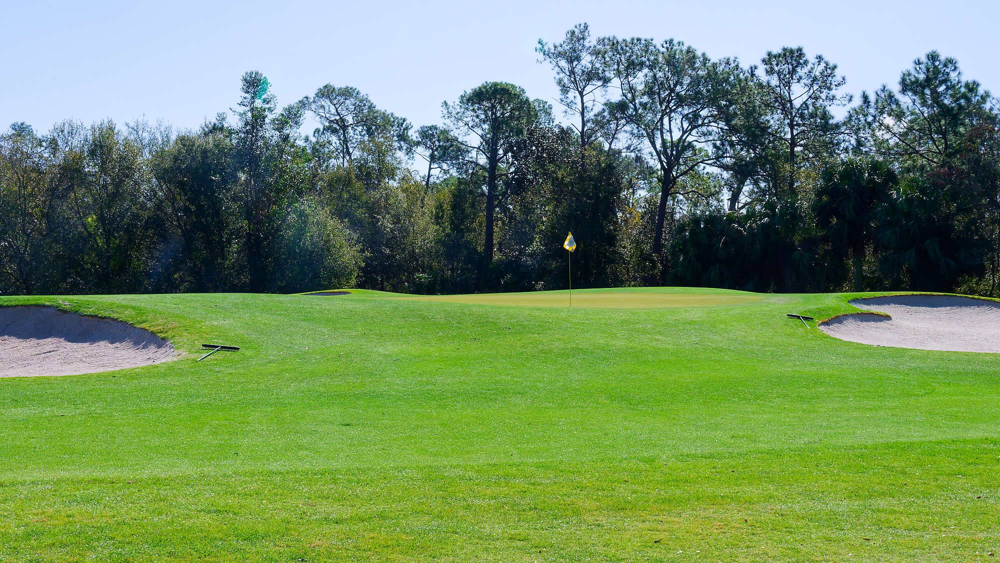 Disney Magnolia Bahn 1-9 MZ6 _8738_DxO