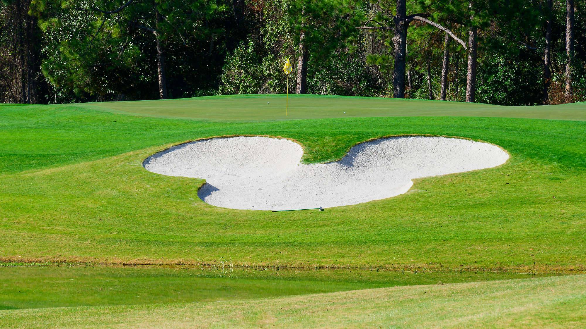 Disney Magnolia Bahn 1-9 MZ6 _8742_DxO