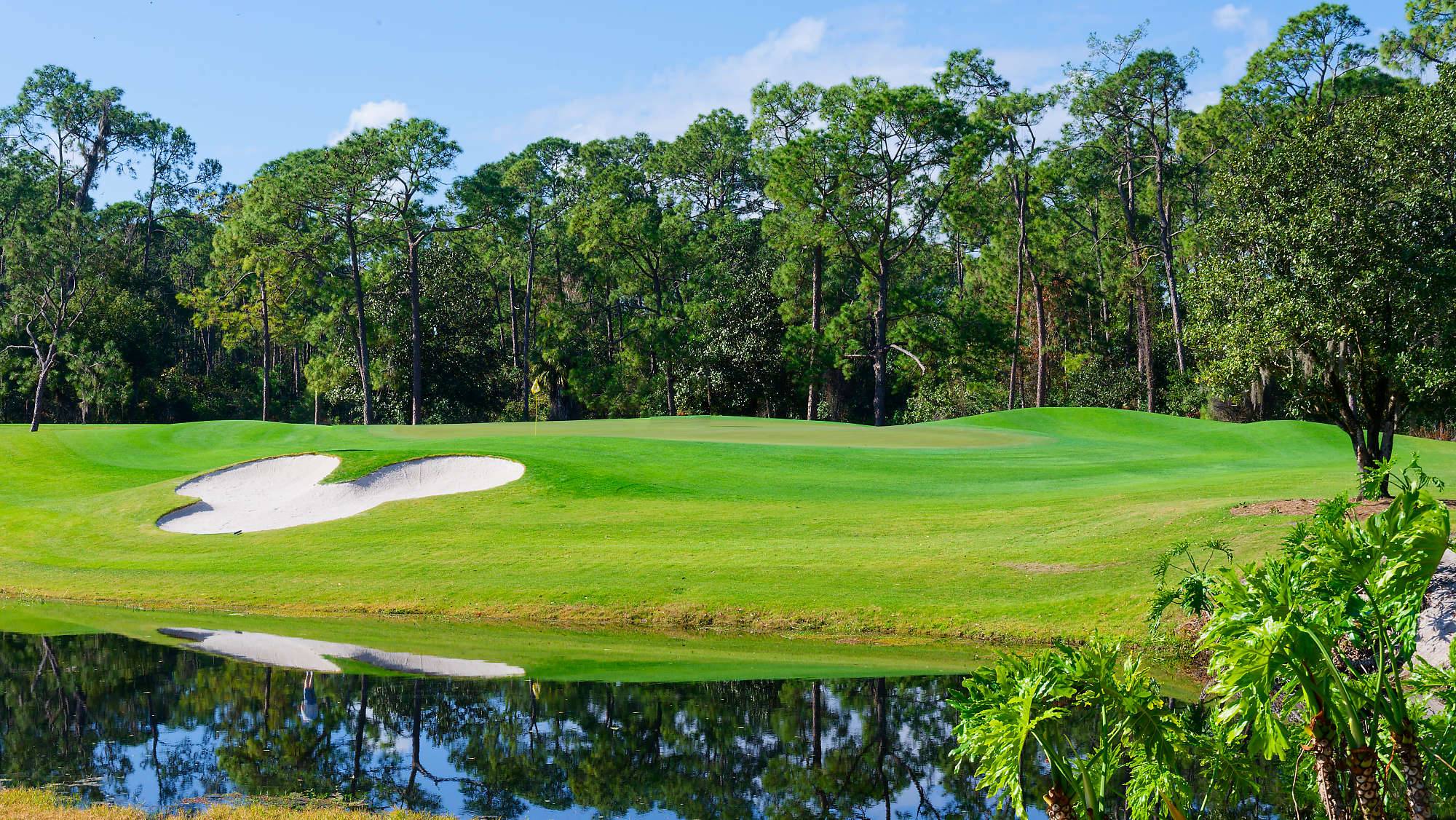 Disney Magnolia Bahn 1-9 MZ6 _8746_DxO