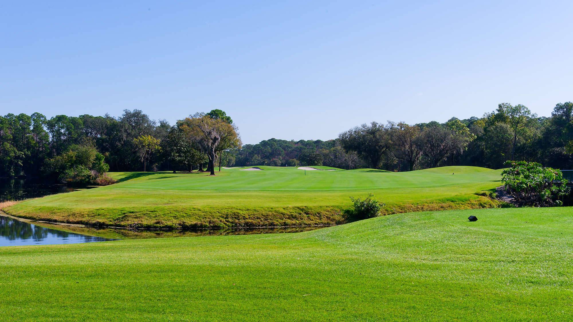 Disney Magnolia Bahn 1-9 MZ6 _8751_DxO