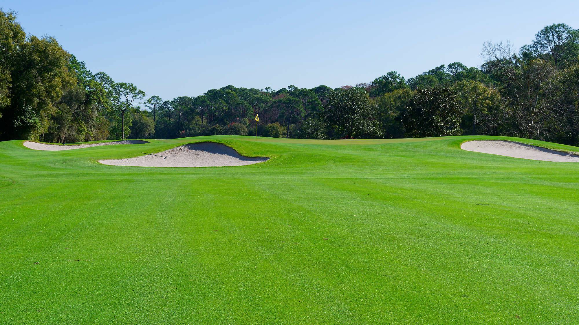 Disney Magnolia Bahn 1-9 MZ6 _8754_DxO