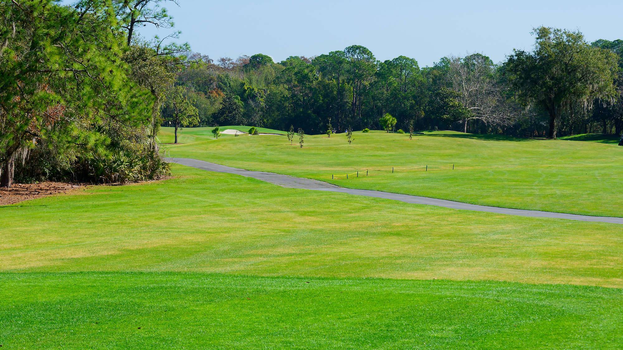 Disney Magnolia Bahn 1-9 MZ6 _8755_DxO