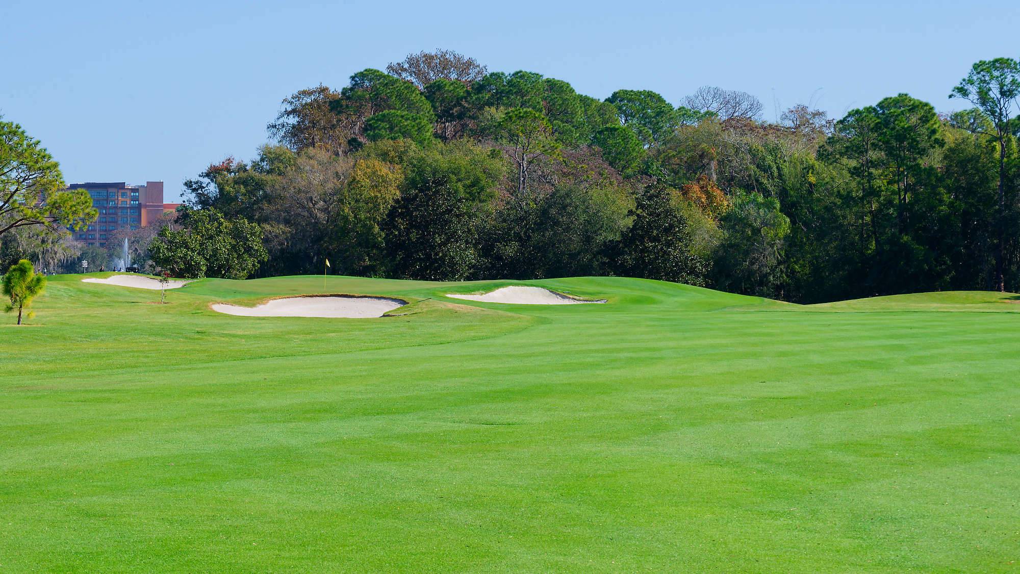 Disney Magnolia Bahn 1-9 MZ6 _8760_DxO