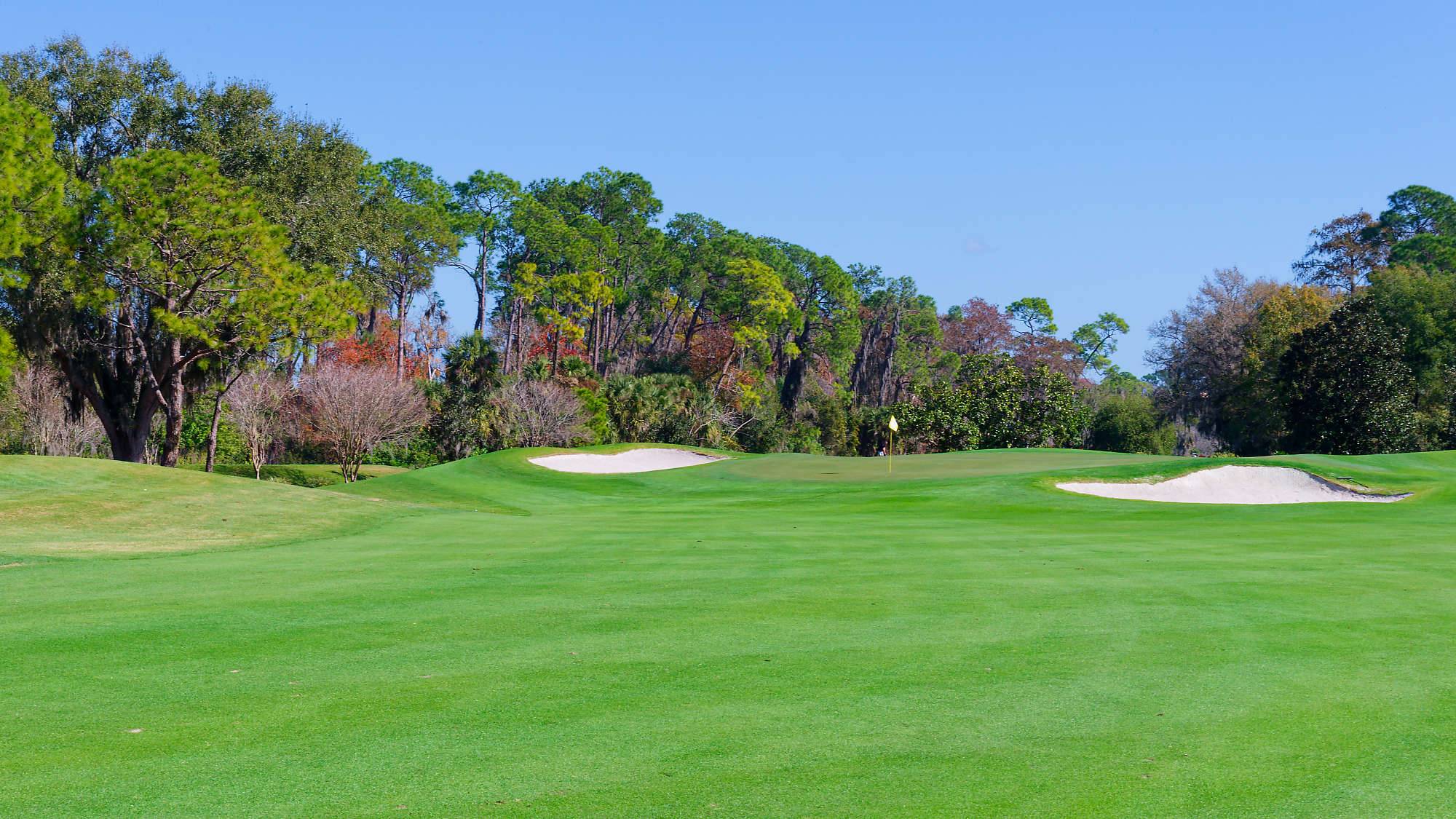 Disney Magnolia Bahn 1-9 MZ6 _8763_DxO