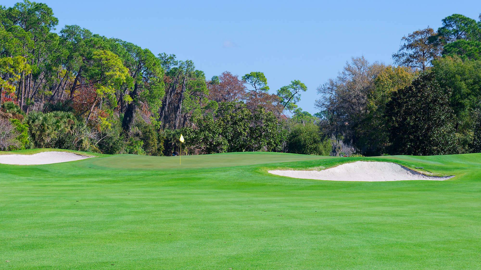 Disney Magnolia Bahn 1-9 MZ6 _8764_DxO