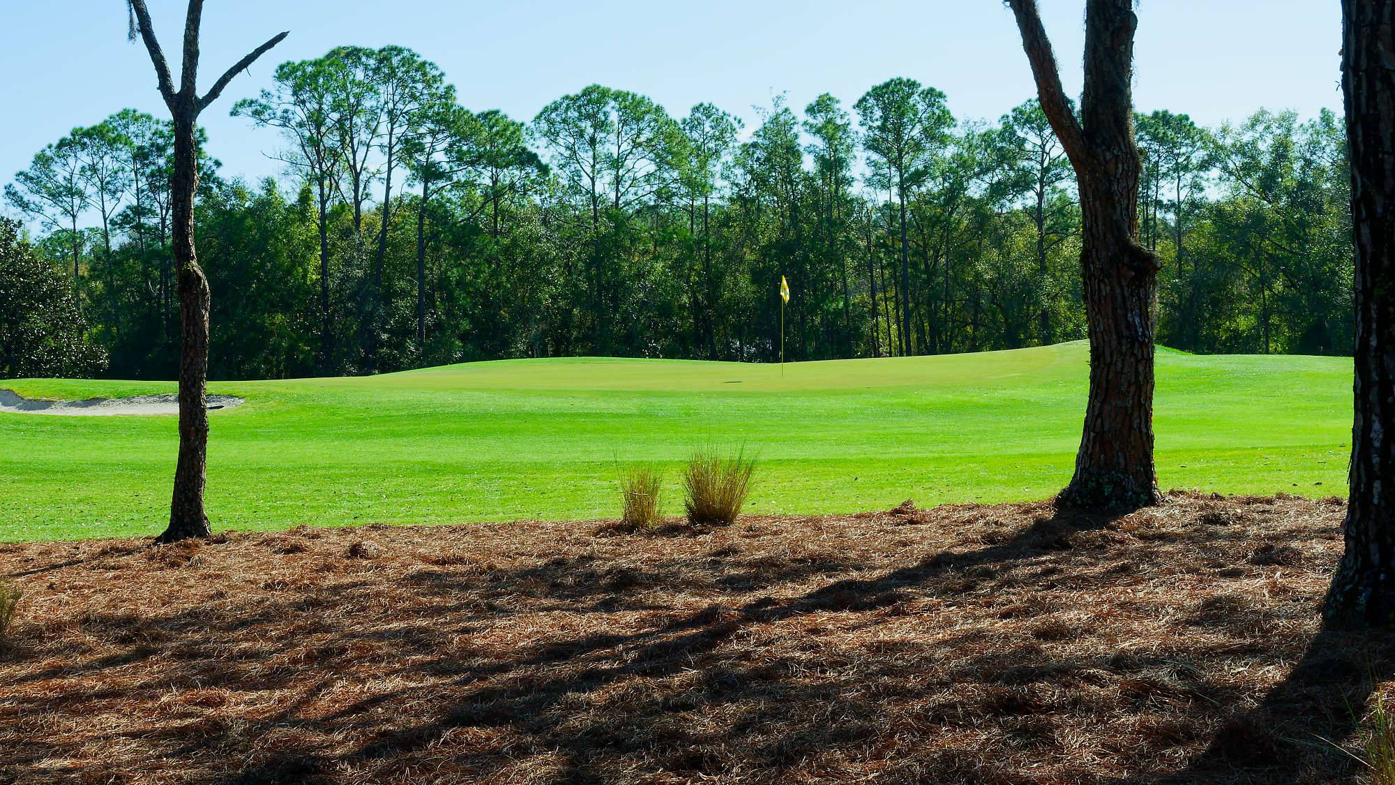 Disney Magnolia Bahn 1-9 MZ6 _8765_DxO