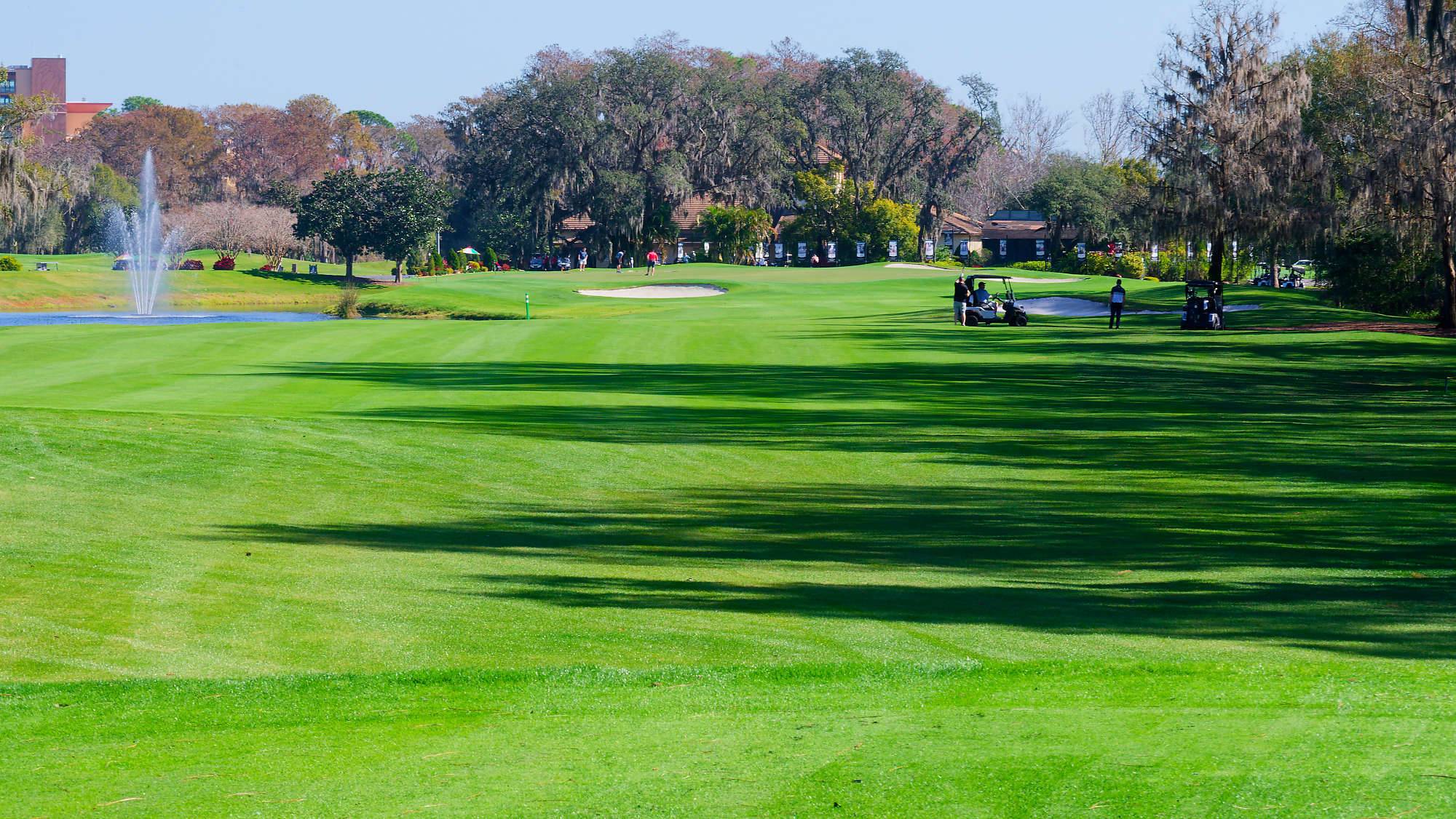 Disney Magnolia Bahn 1-9 MZ6 _8766_DxO