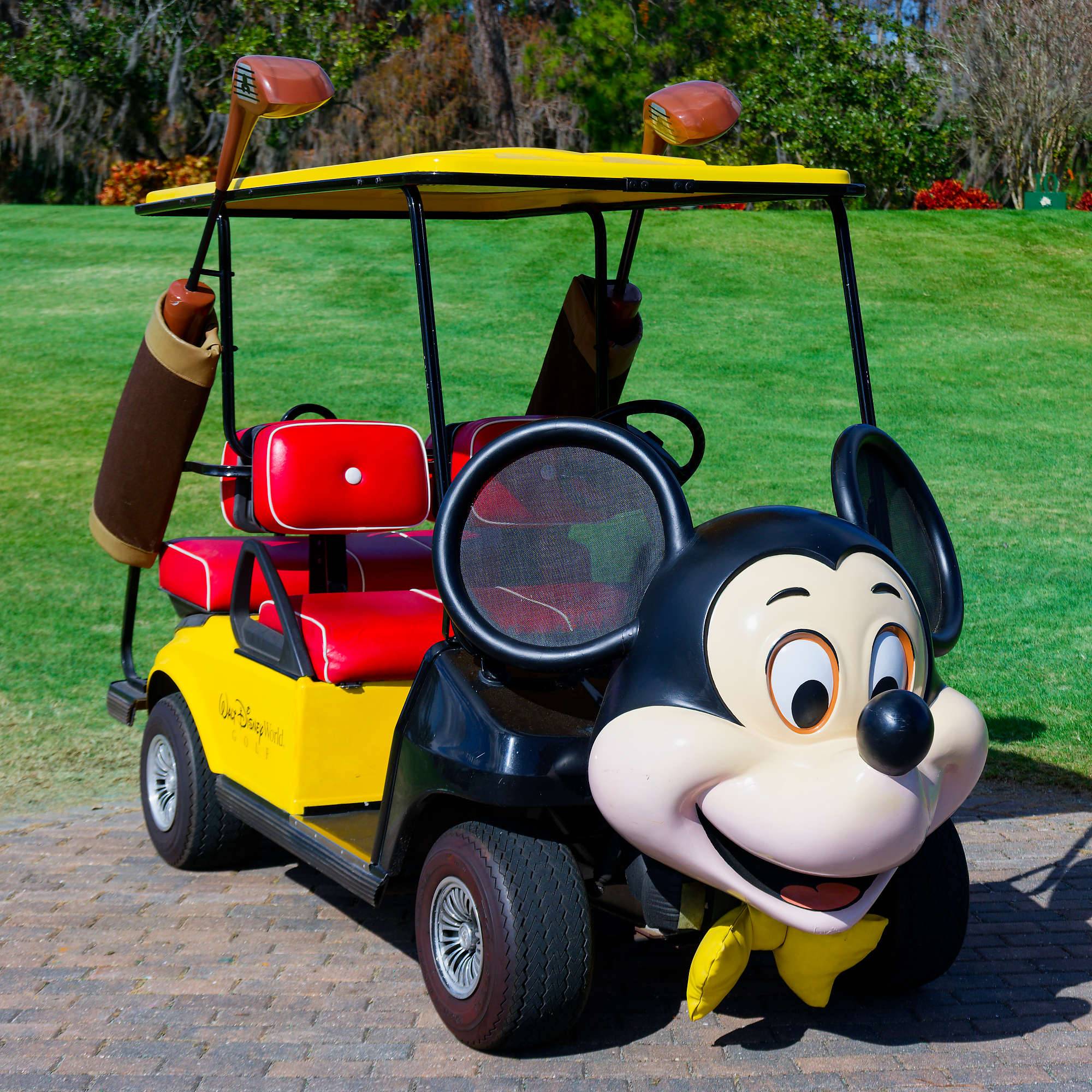 Disney Magnolia Bahn 1-9 MZ6 _8795_DxO