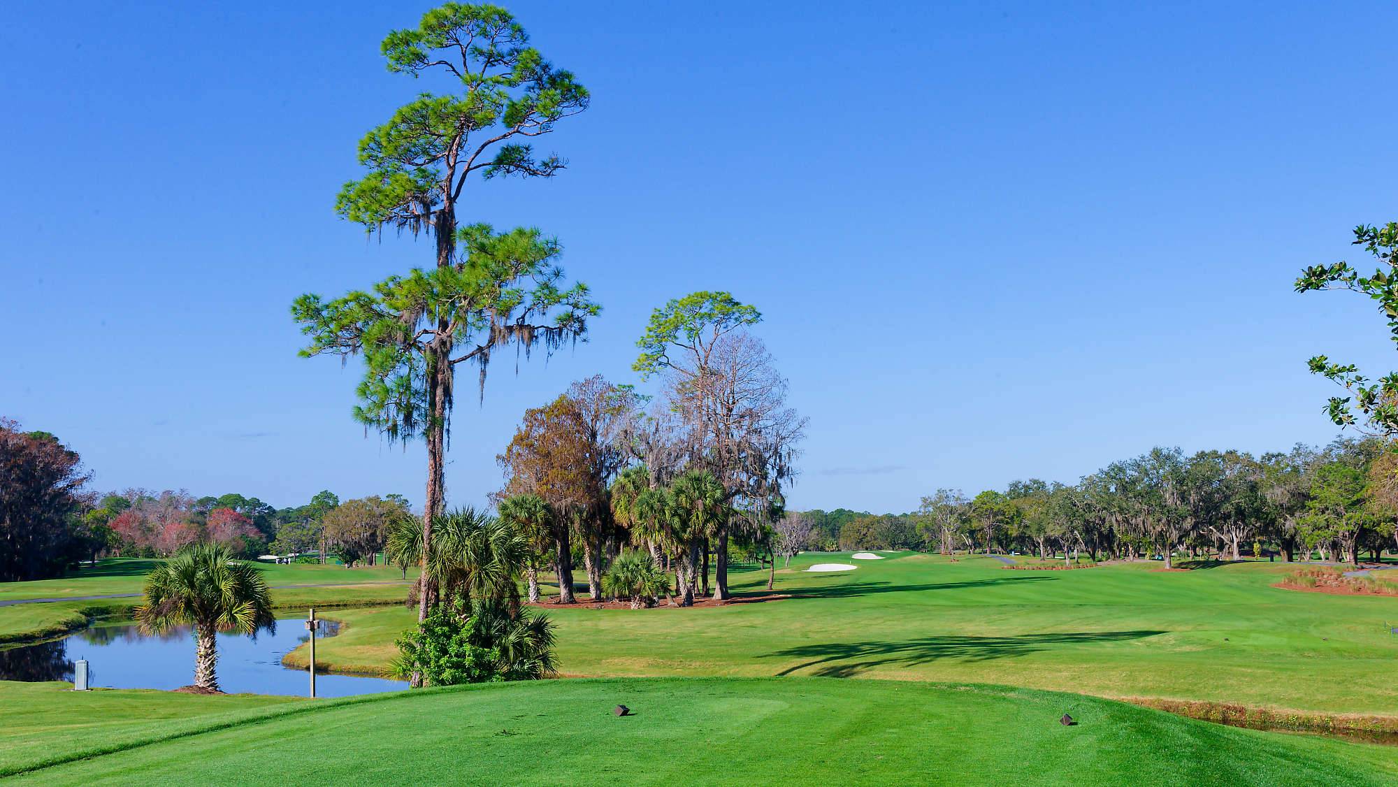 Disney Magnolia Bahn 10-18 MZ6 _8657_DxO
