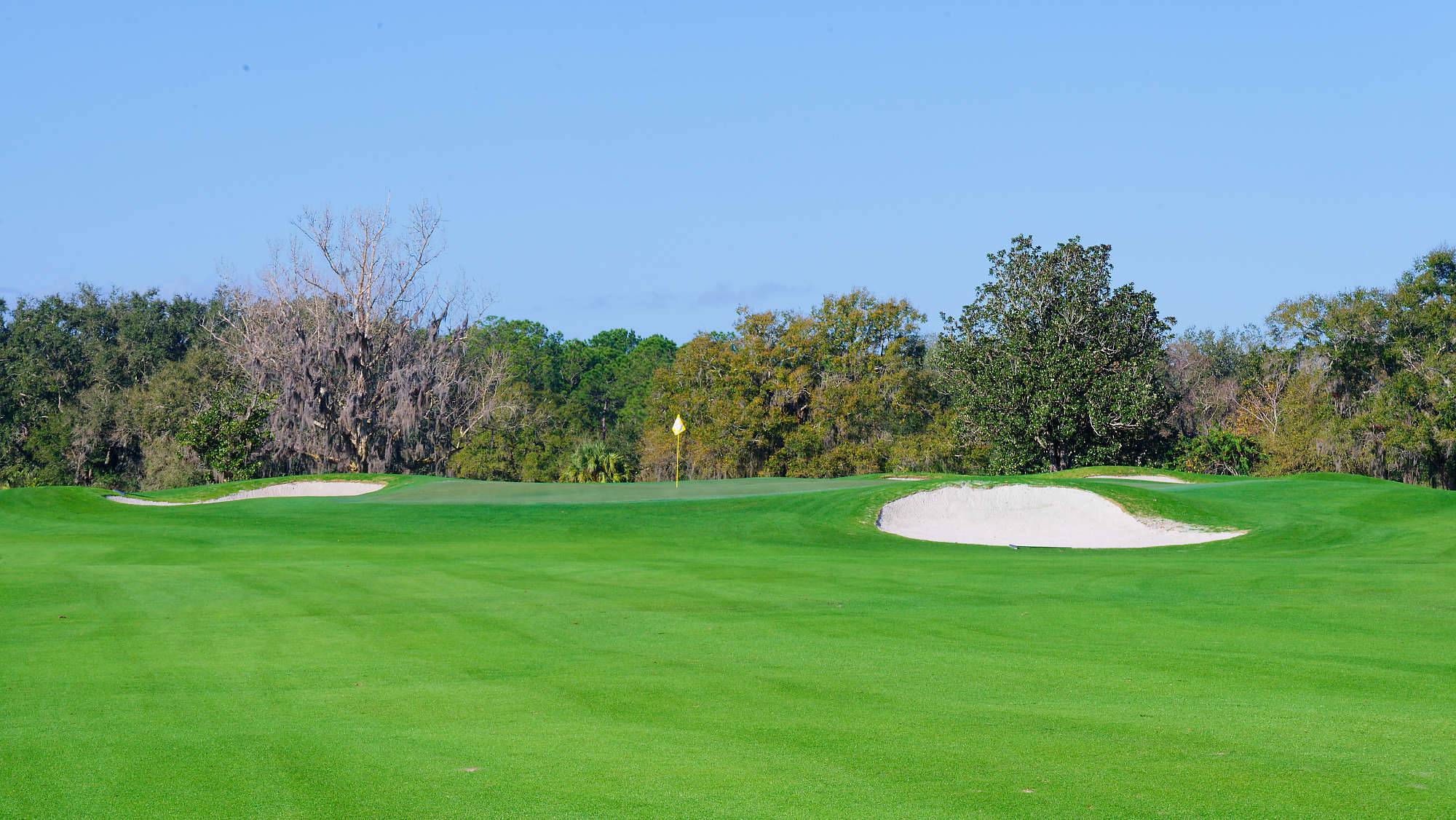 Disney Magnolia Bahn 10-18 MZ6 _8661_DxO