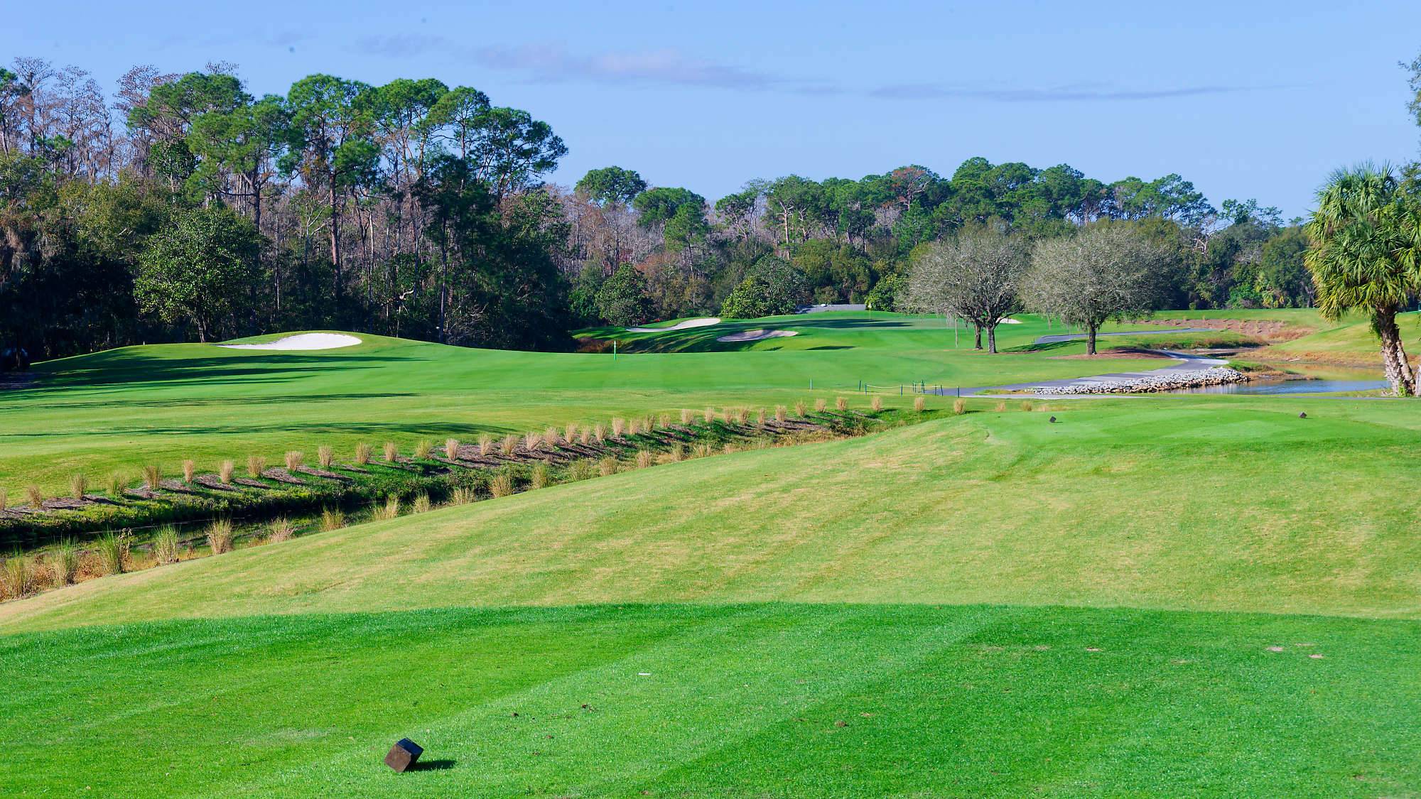 Disney Magnolia Bahn 10-18 MZ6 _8663_DxO